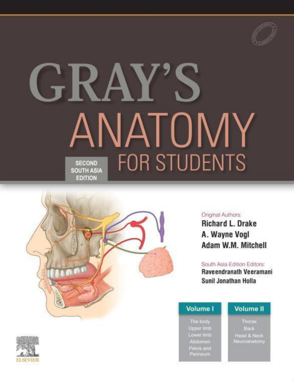 Grays Anatomy For Students 5th Edition Richard Drake A Wayne Vogl