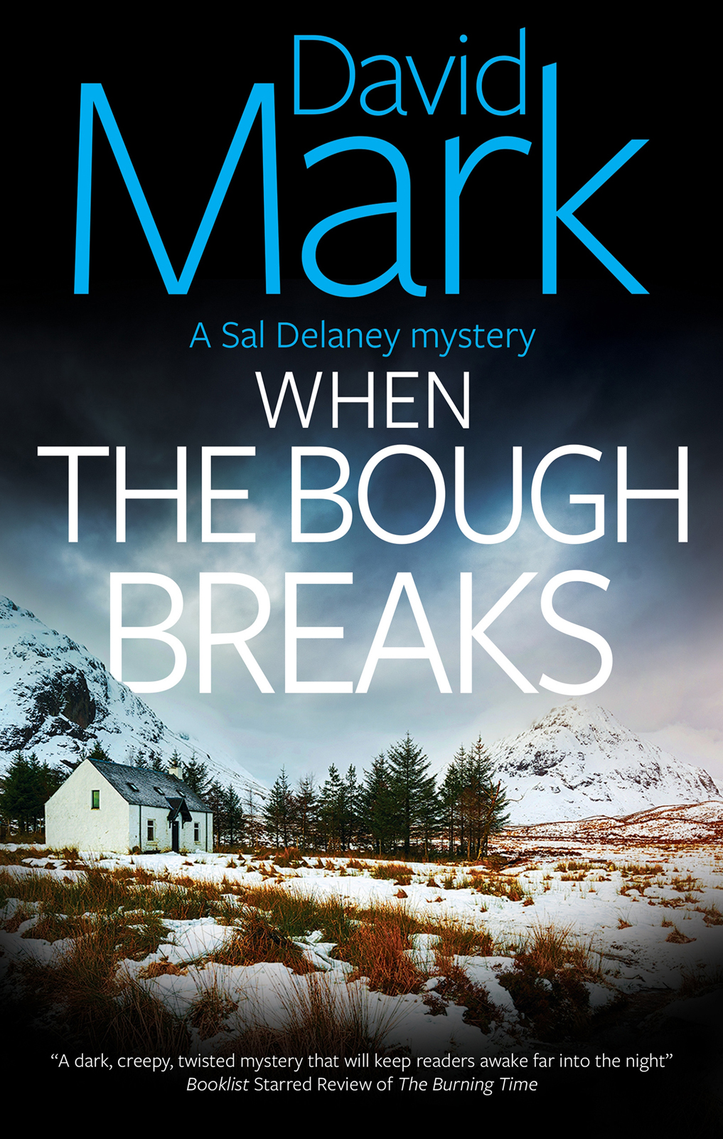 When The Bough Breaks David Mark