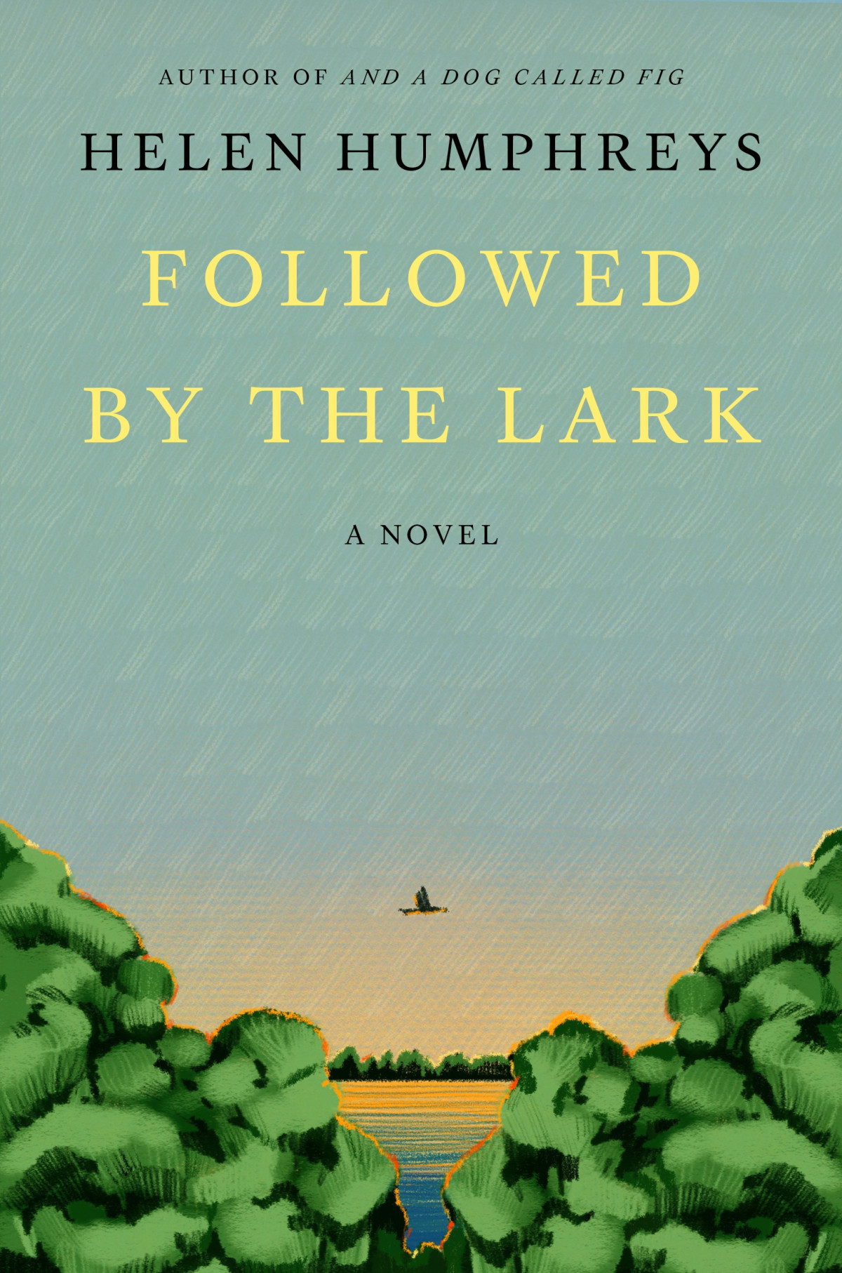 Followed By The Lark 1st Edition Helen Humphreys