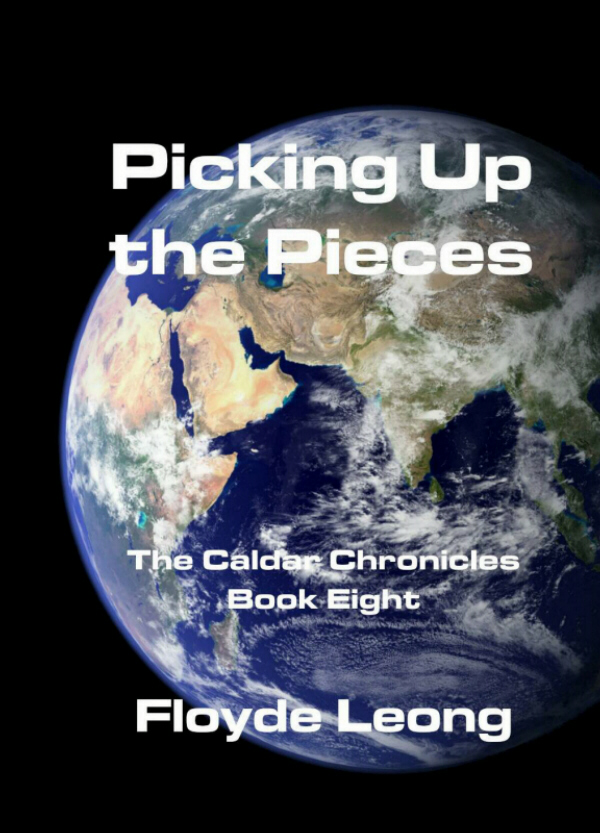 Picking Up The Pieces Floyde Leong