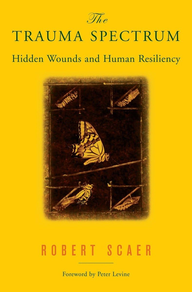 The Trauma Spectrum Hidden Wounds And Human Resiliency 1st Robert C Scaer
