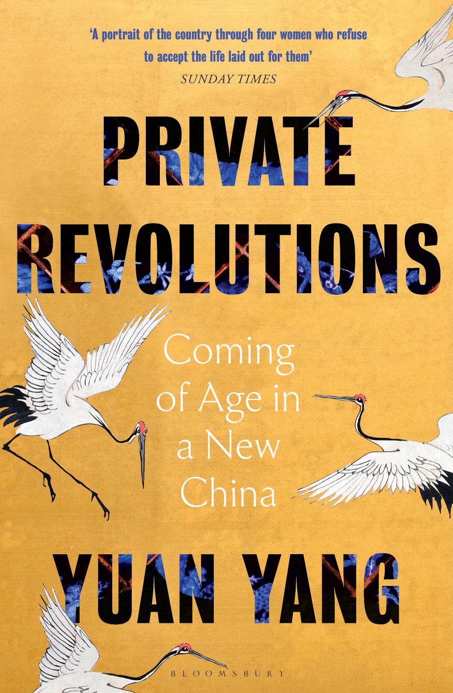 Private Revolutions Coming Of Age In A New China Yuan Yang