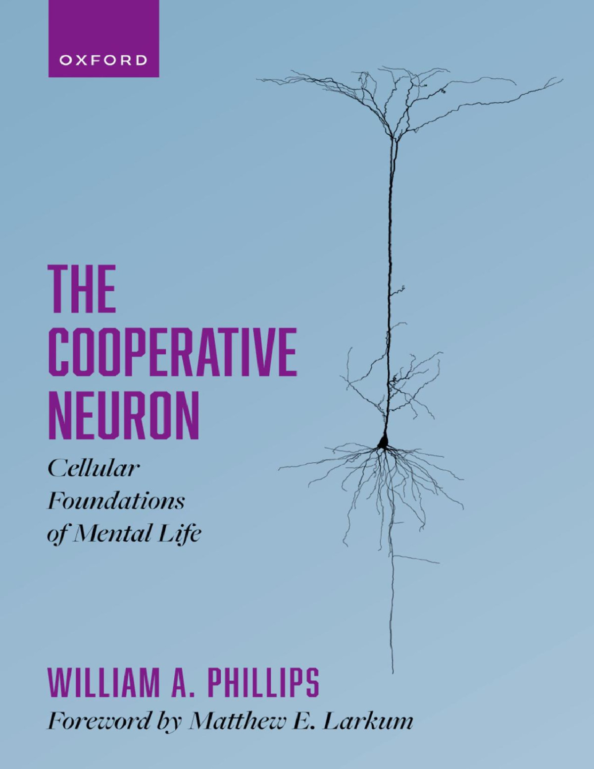 The Cooperative Neuron Cellular Foundations Of Mental Life Phillips