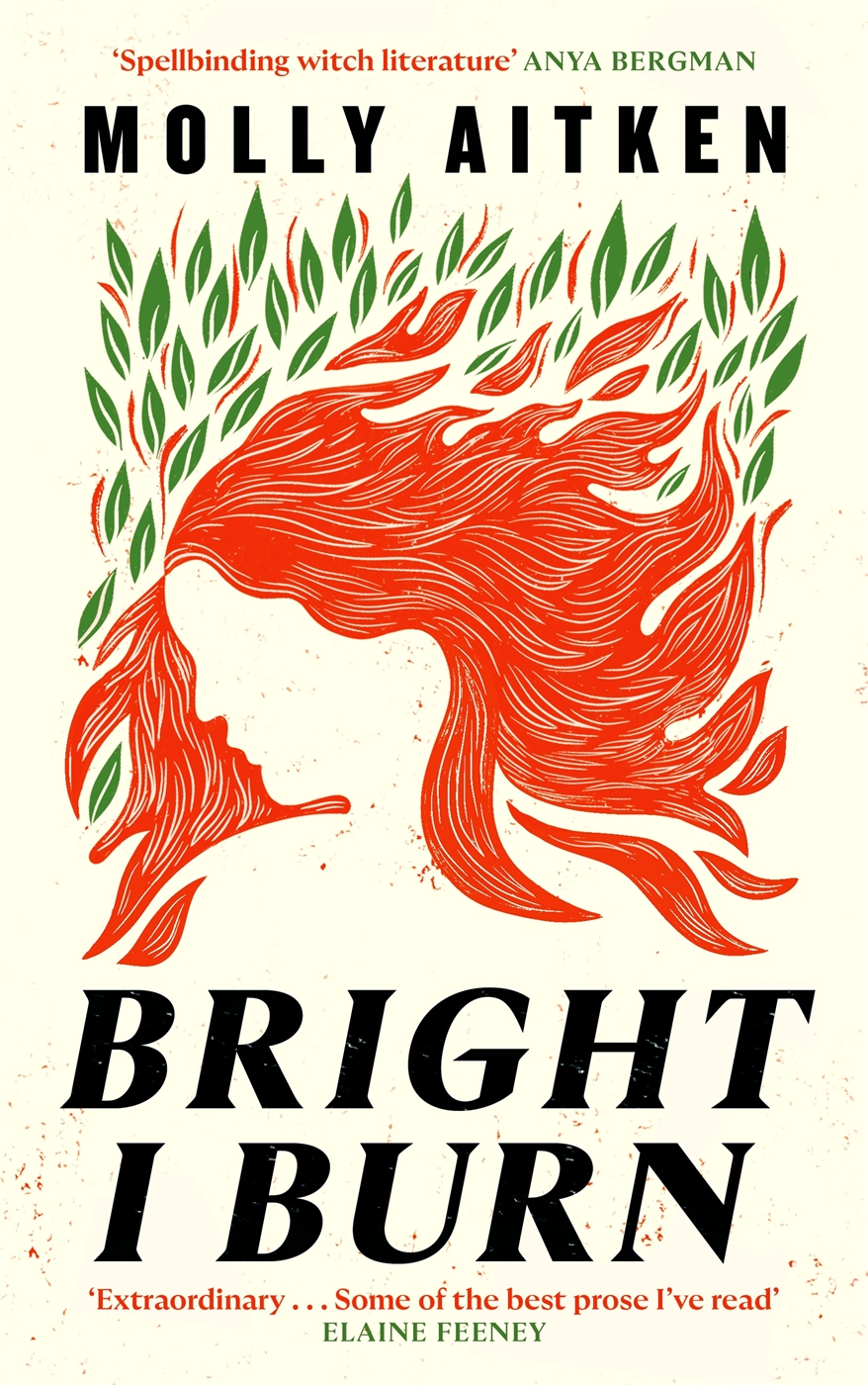 Bright I Burn Molly Aitken