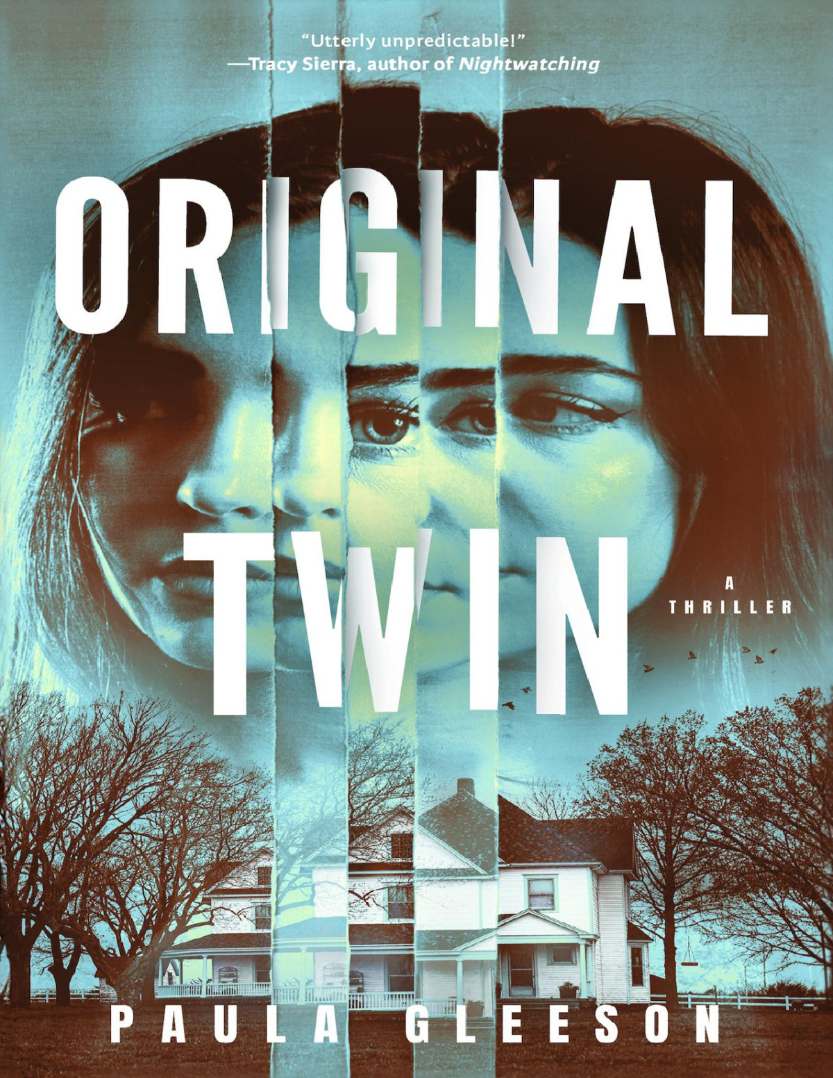 Original Twin A Thriller Paula Gleeson