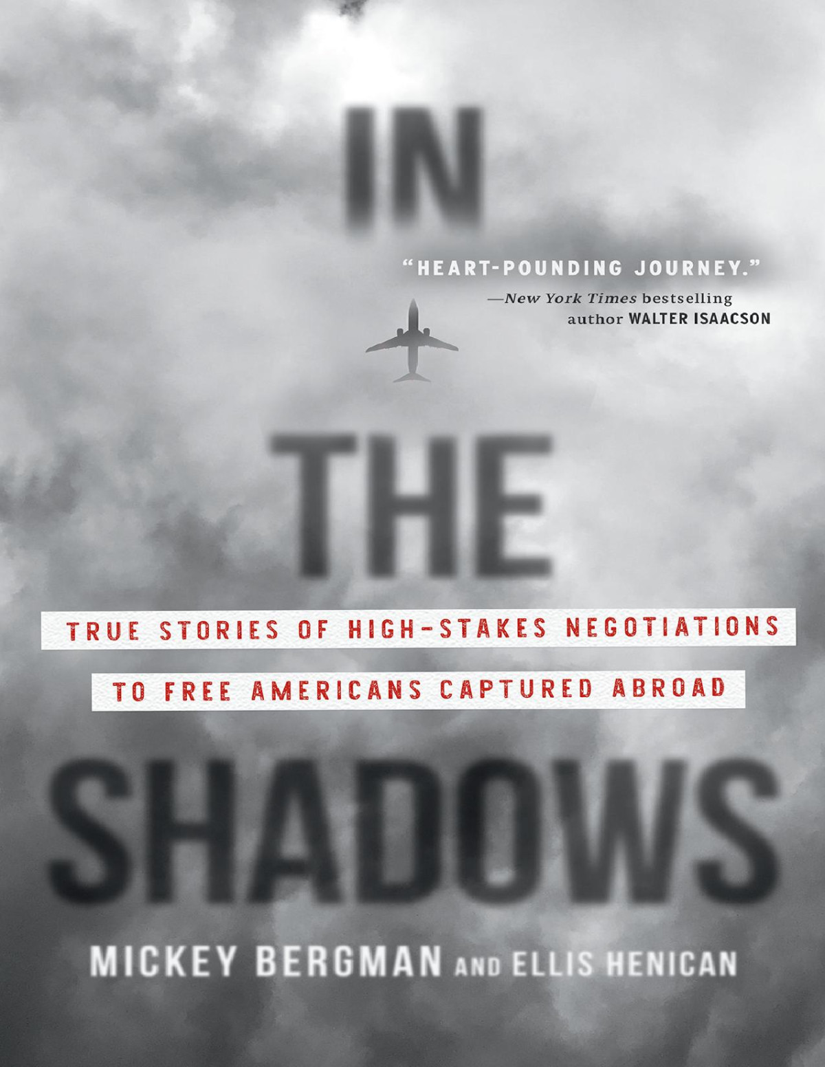 In The Shadows Mickey Bergman