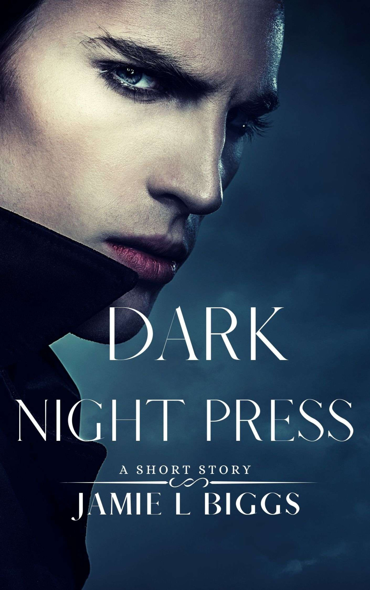 Dark Night Press Jamie L Biggs
