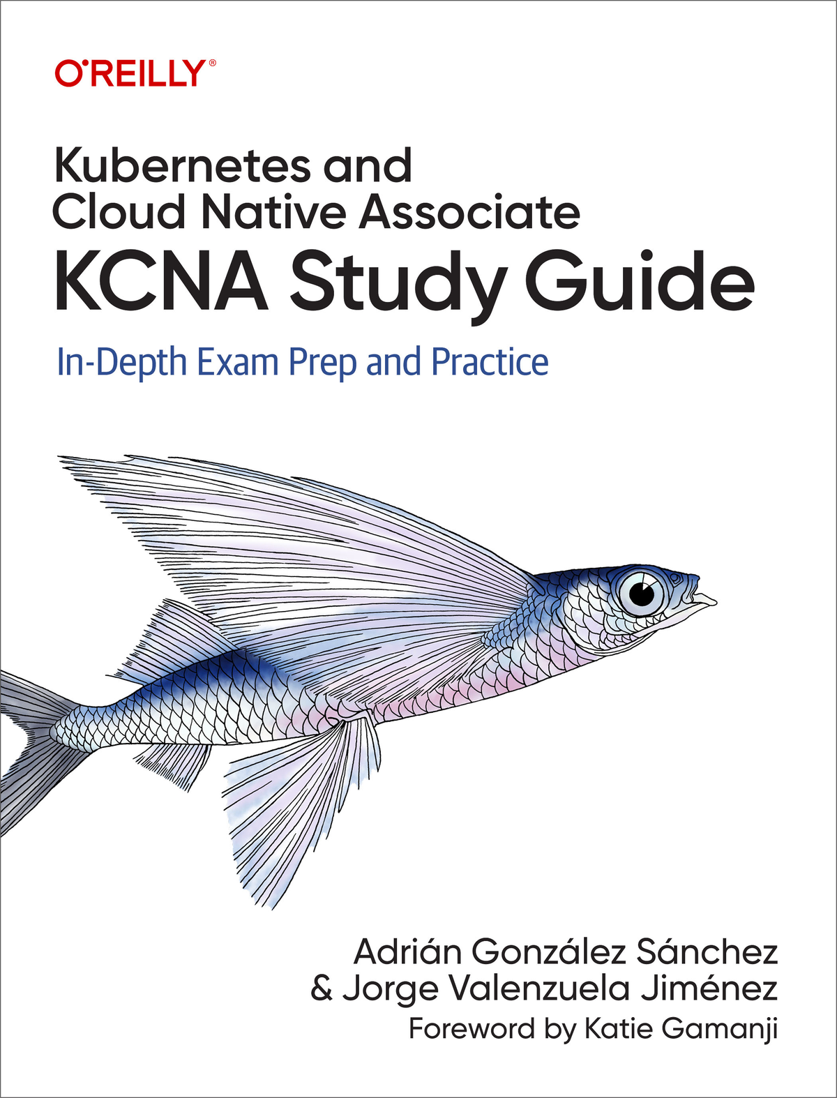 Kubernetes And Cloud Native Associate Kcna Study Guide In Depth Exam Prep And Practice Jorge Valenzuela Jimnez