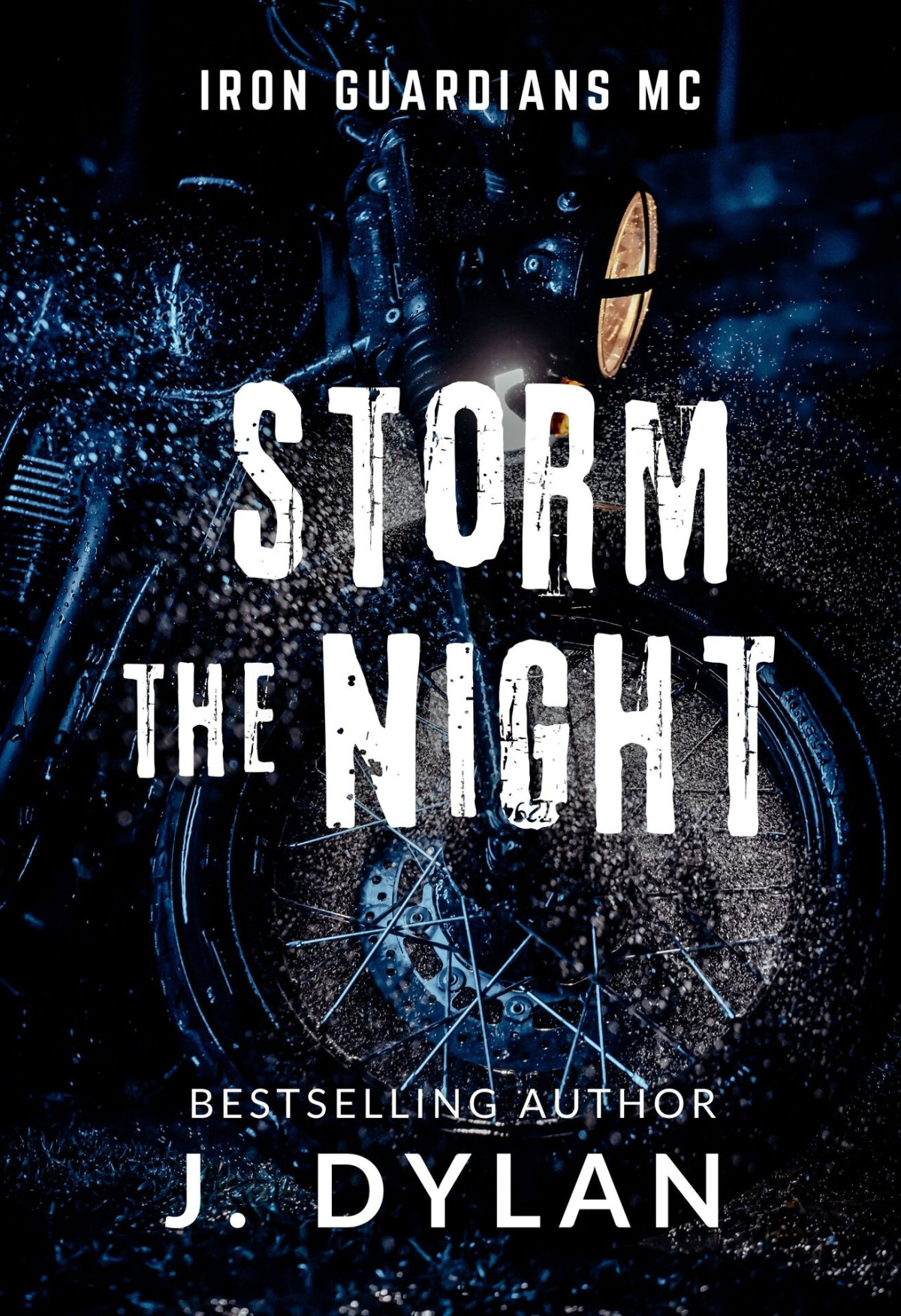 Storm The Night An Iron Guardians Mc Romance Novella J Dylan