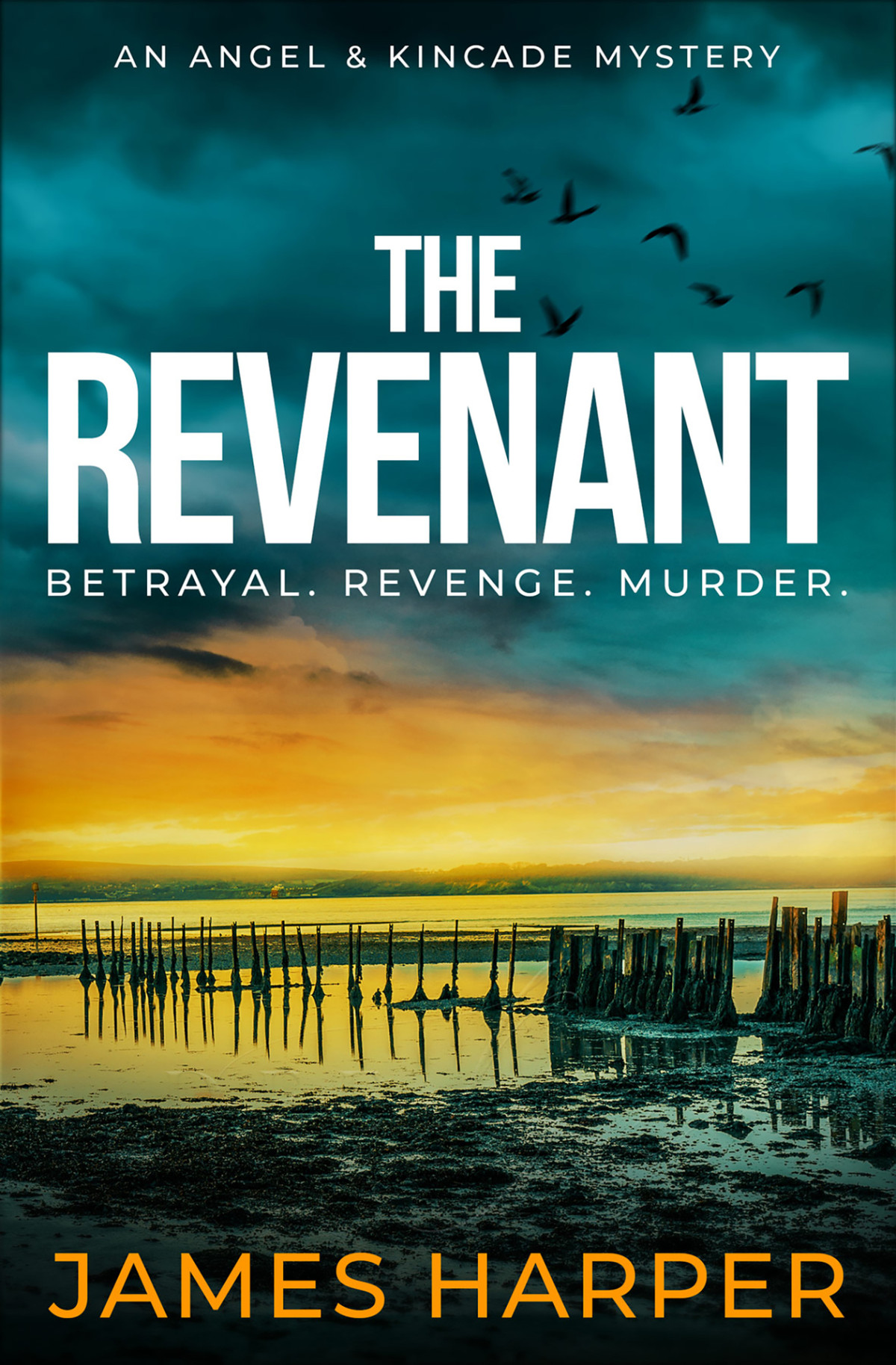 The Revenant An Angel Kincade Mystery Angel Kincade Murder Mysteries Book 1 James Harper