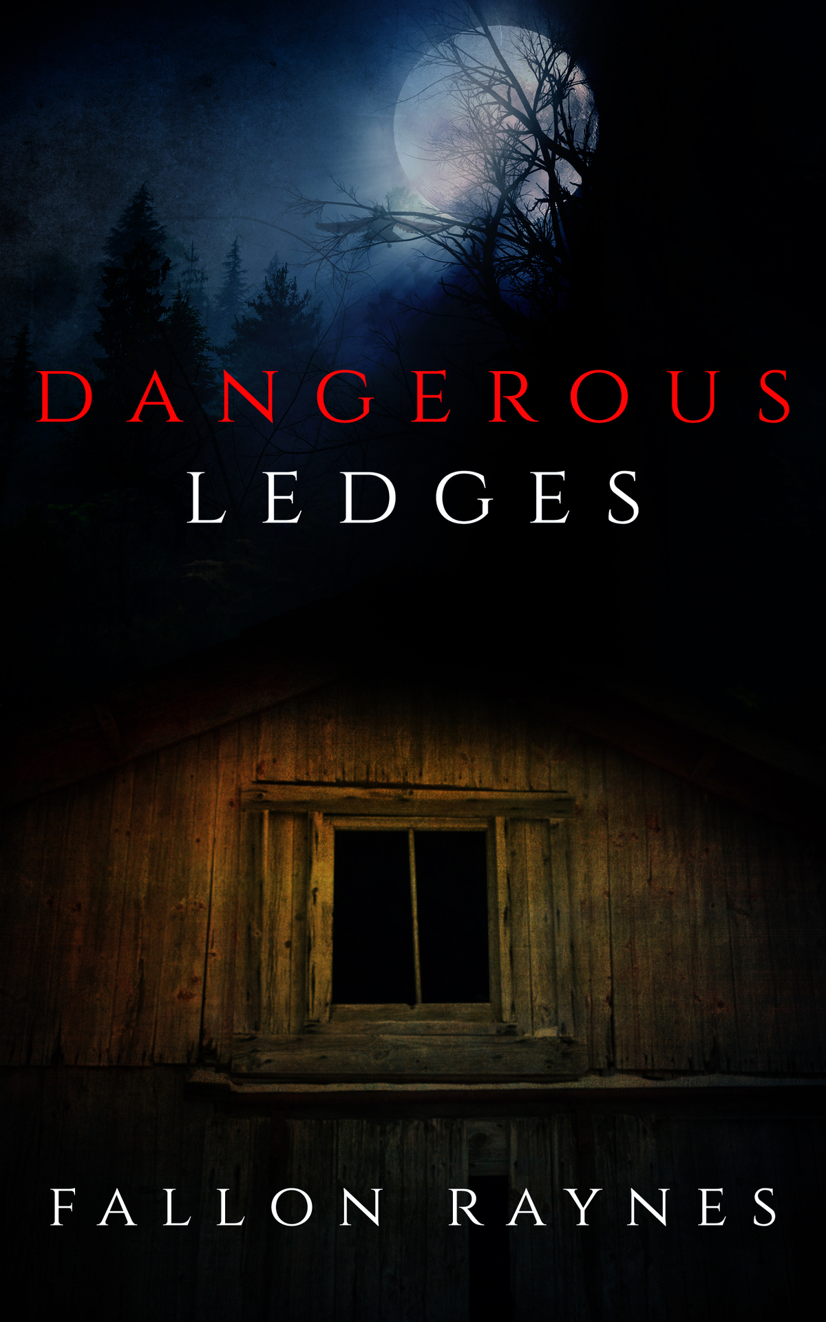 Dangerous Ledges A Psychological Thriller No Romance Fallon Raynes