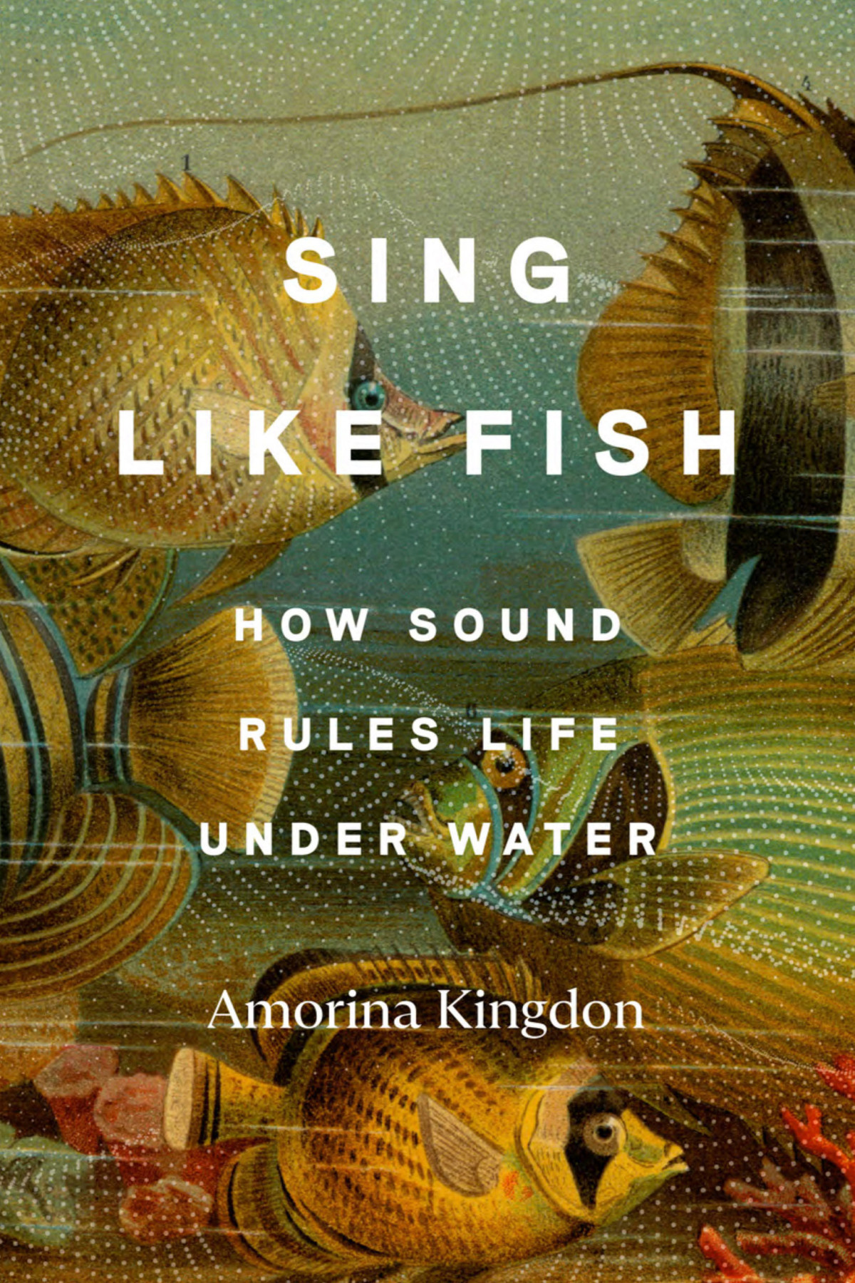 Sing Like Fish How Sound Rules Life Under Water Amorina Kingdon