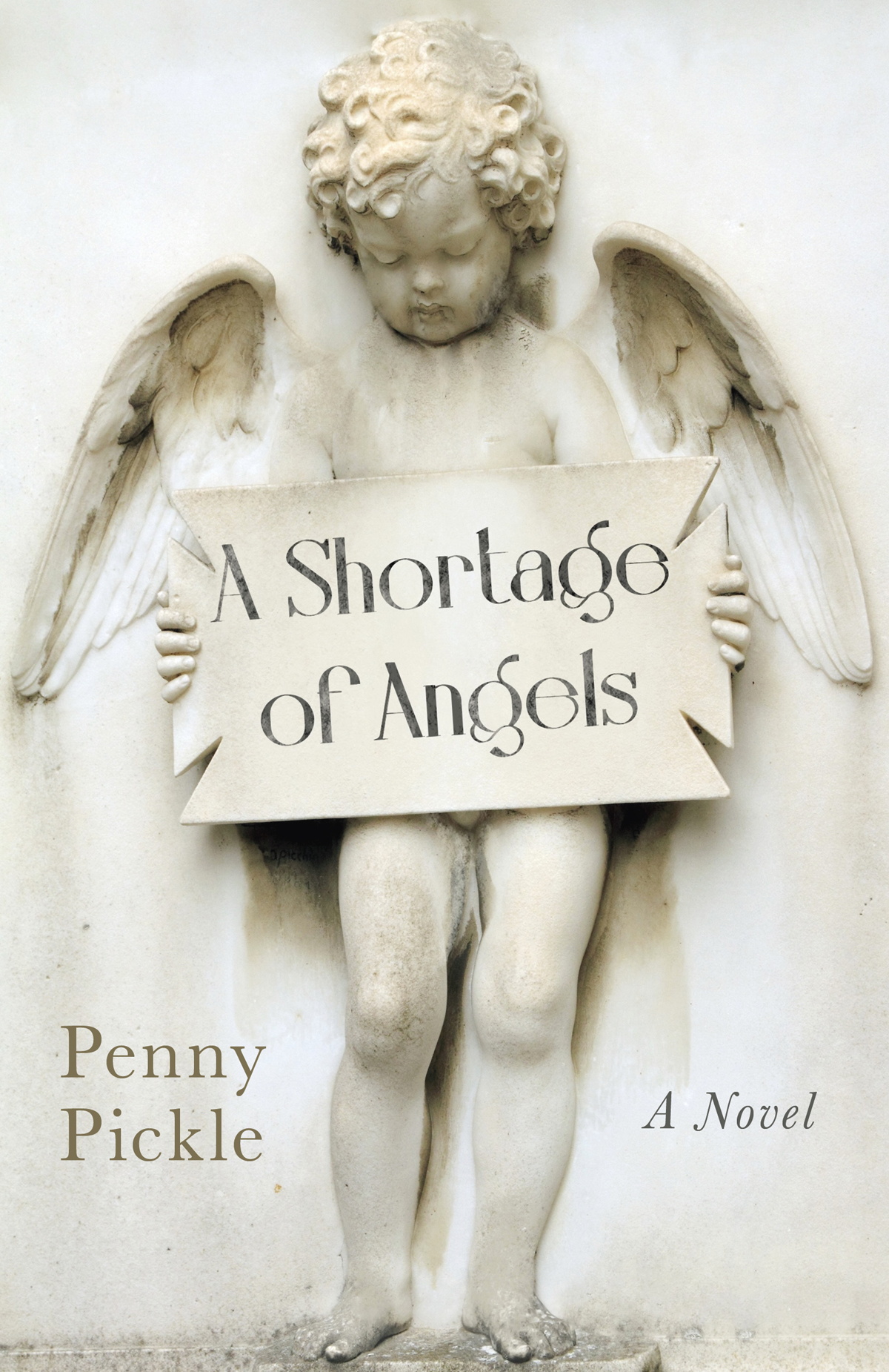A Shortage Of Angels Penny Pickle