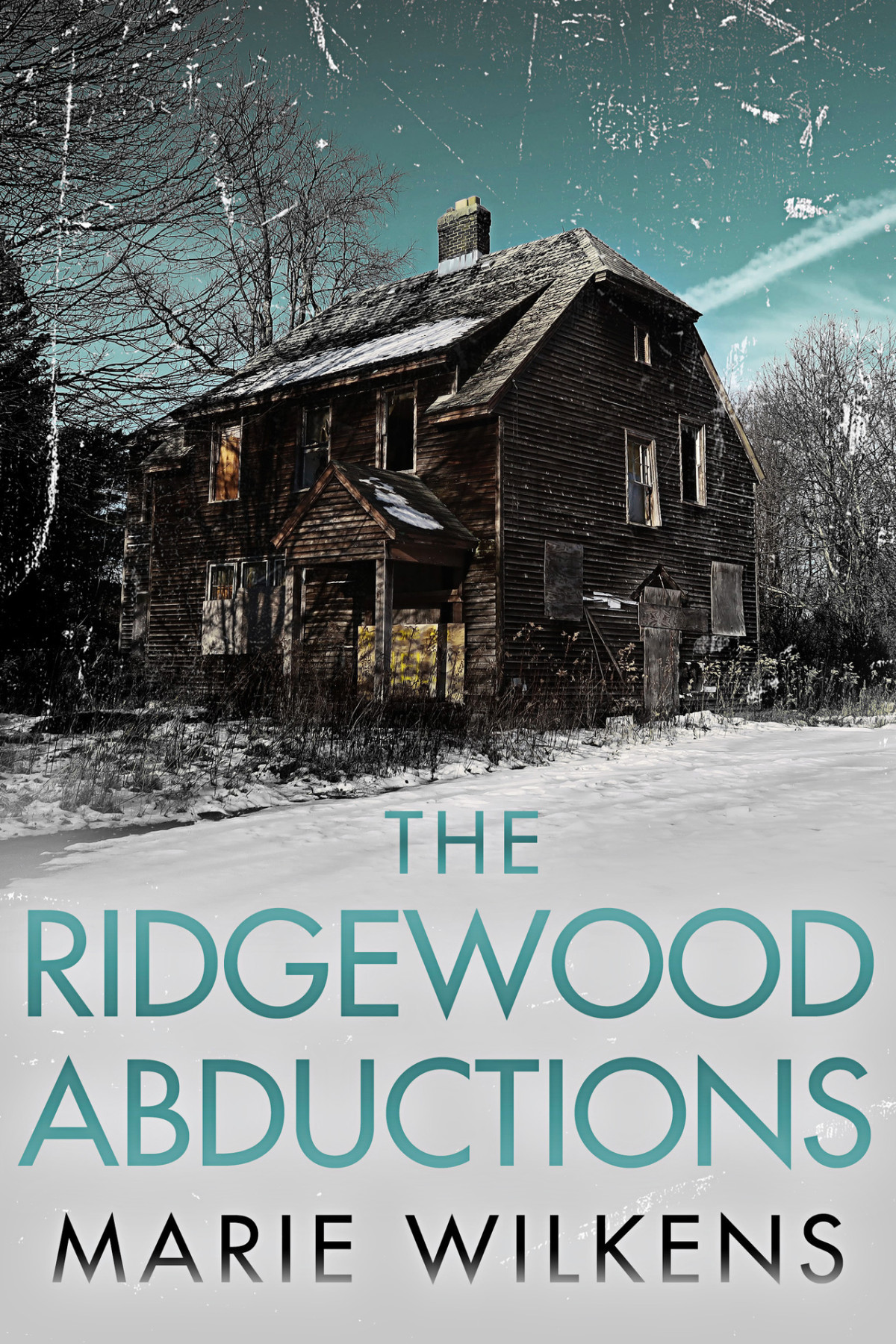 The Ridgewood Abductions Marie Wilkens