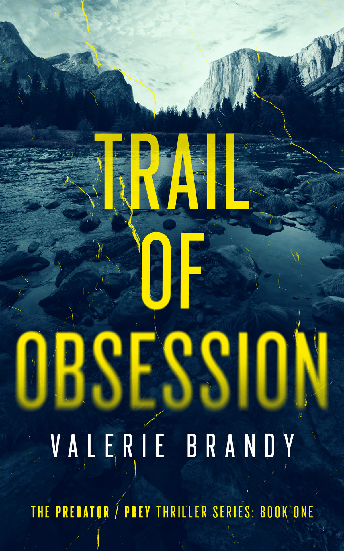 Trail Of Obsession The Predator Prey Thriller Series Book One Valerie Brandy