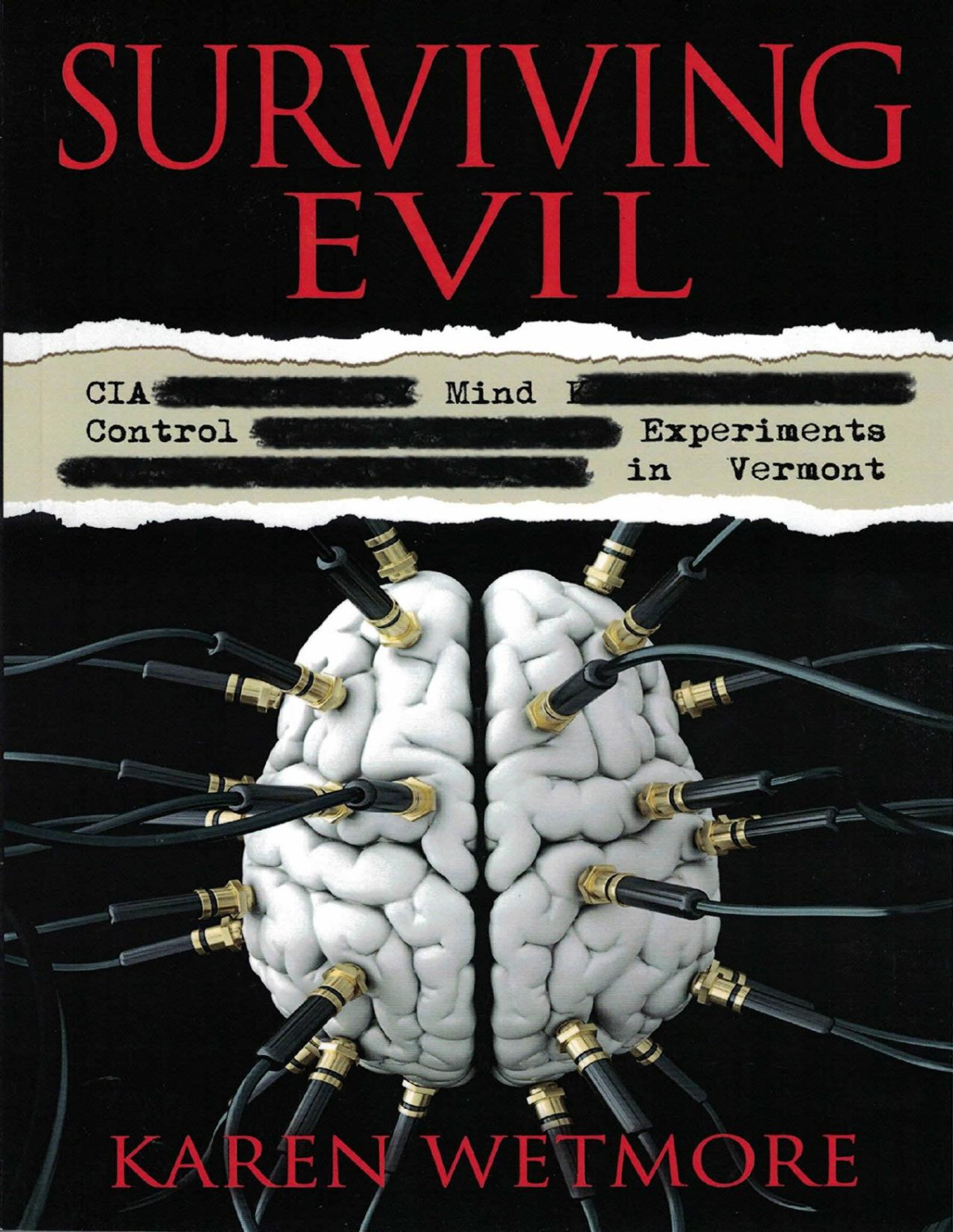 Suviving Evil Cia Mind Control Experiments In Vermont Karen Wetmore