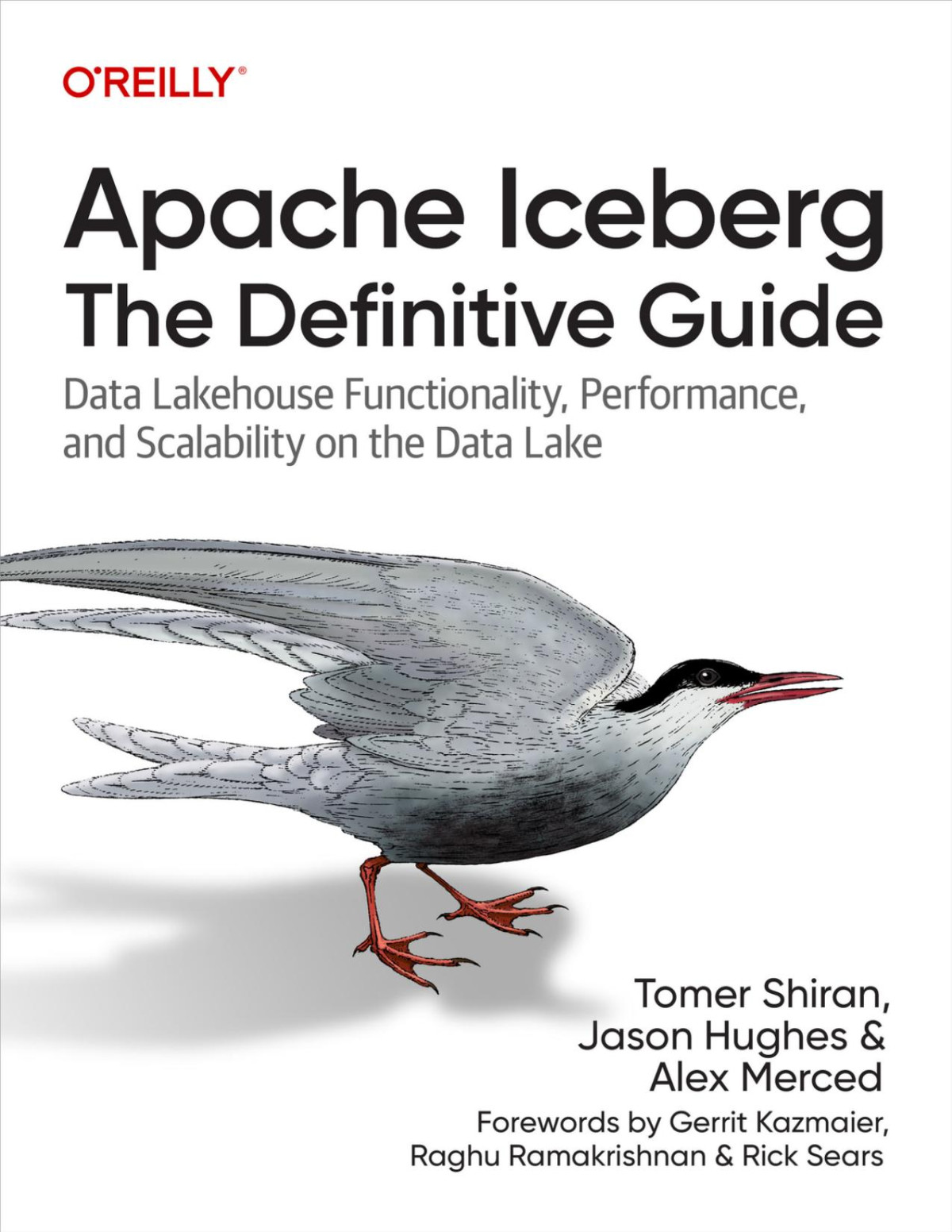 Apache Iceberg The Definitive Guide Tomer Shiran