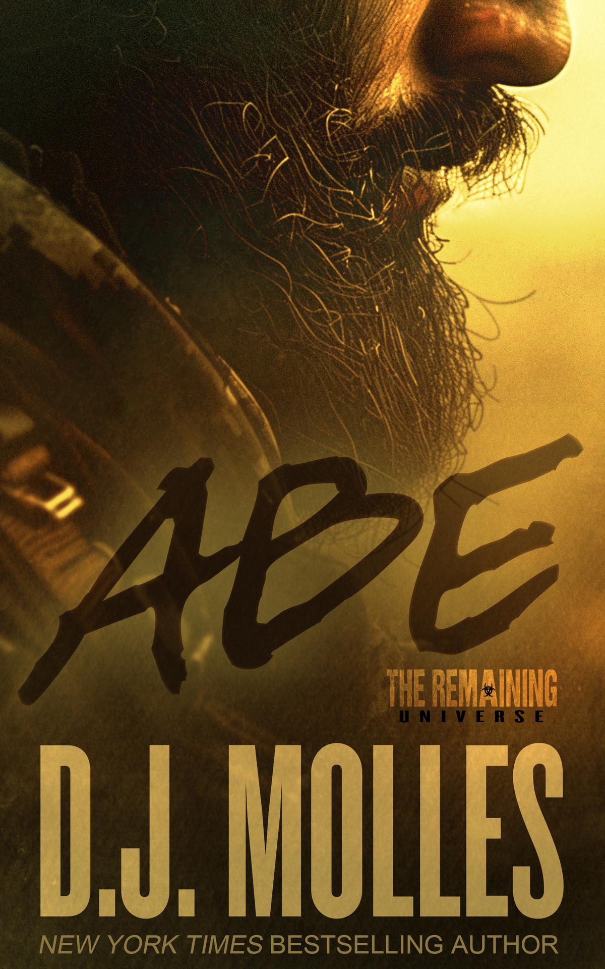 Abe A Remaining Universe Novel Dj Molles