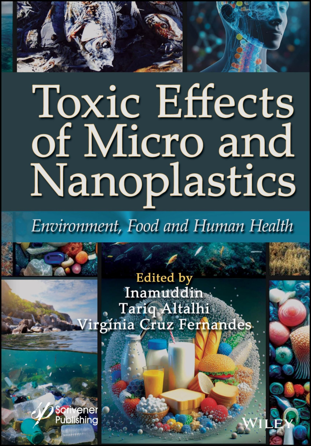 Toxic Effects Of Micro And Nanoplastics Environment Food And Human Health 1st Edition Inamuddin