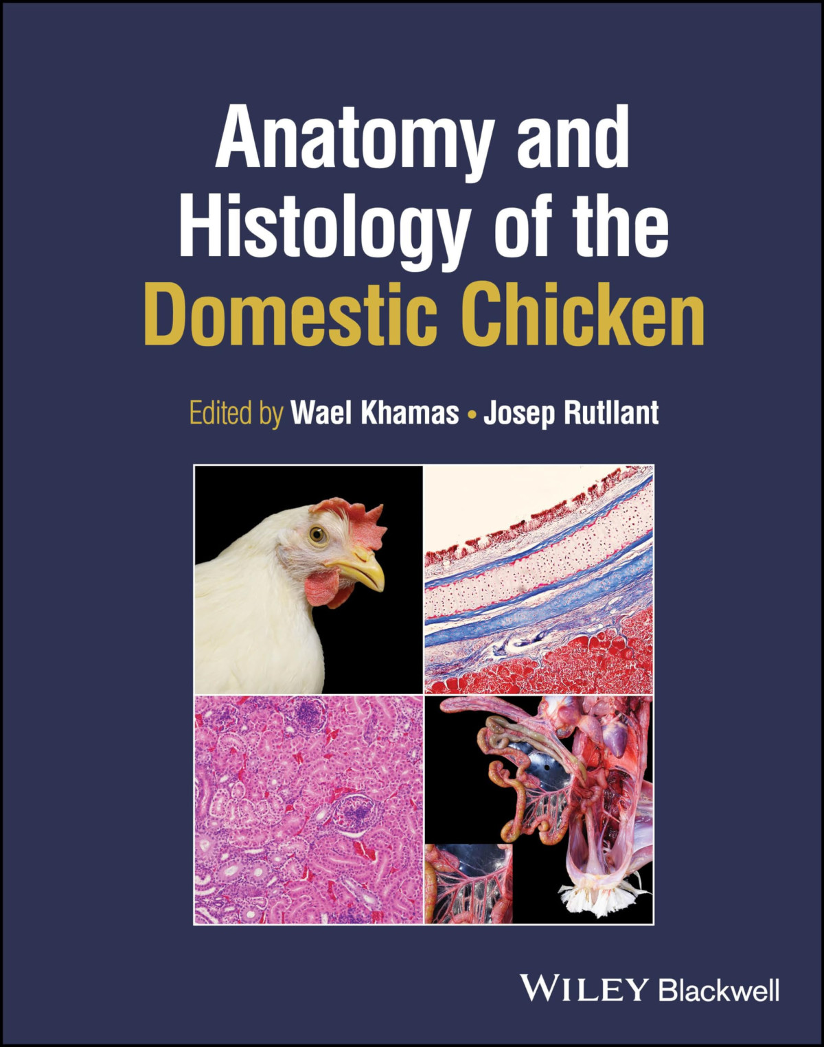 Anatomy And Histology Of The Domestic Chicken 1st Edition Wael Khamas