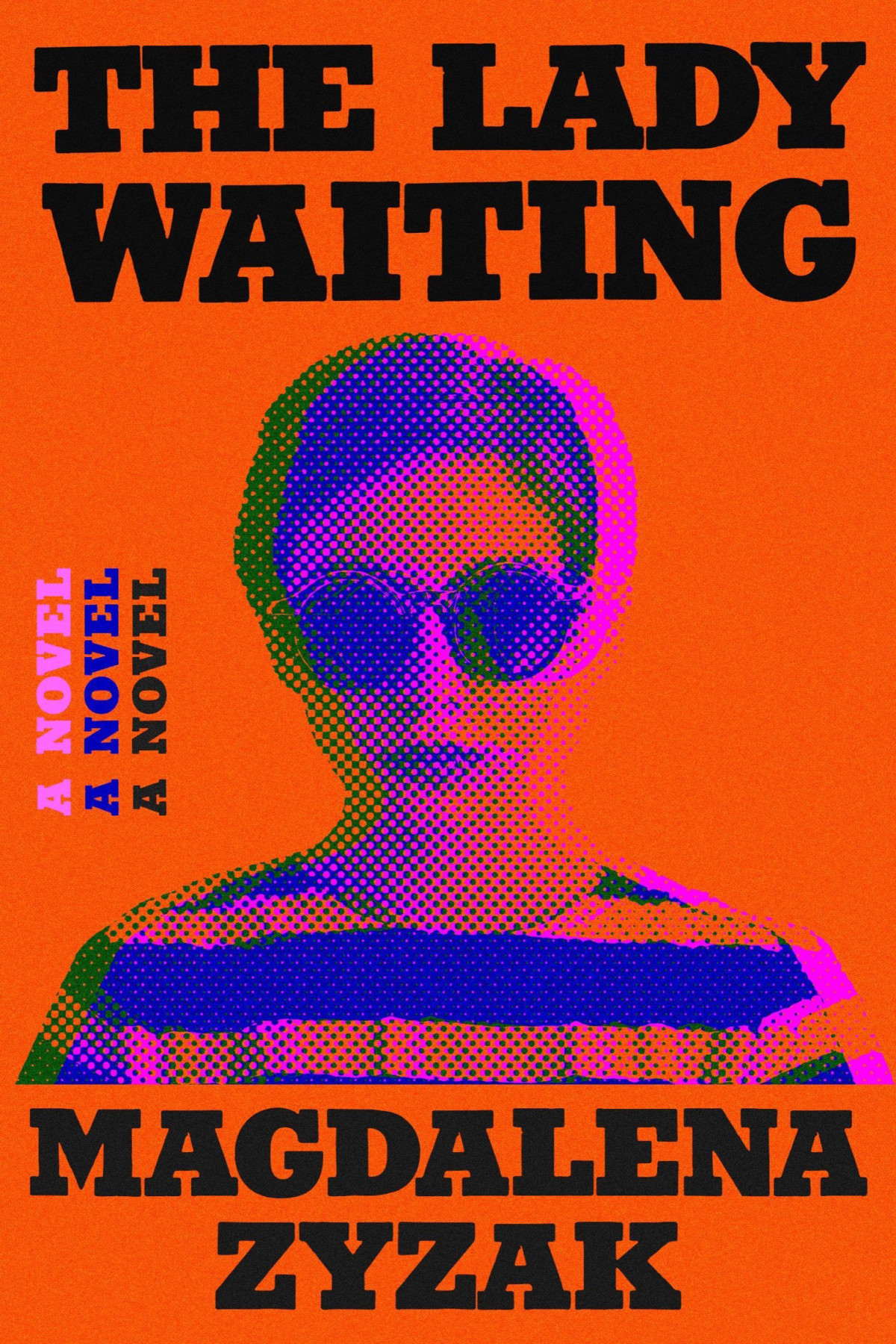 The Lady Waiting A Novel Magdalena Zyzak
