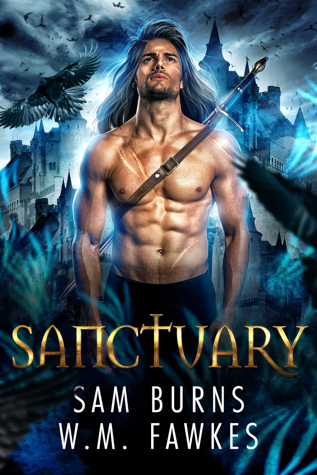 Sanctuary On The Wind Book 1 Mm Sam Burns Wm Fawkes