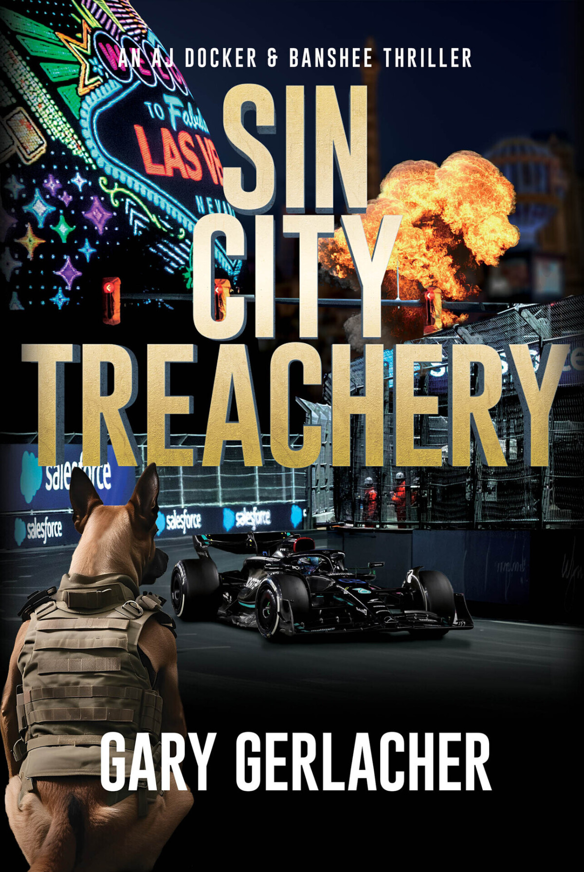Sin City Treachery An Aj Docker And Banshee Thriller An Aj Docker Medical Thriller Book 3 Gary Gerlacher