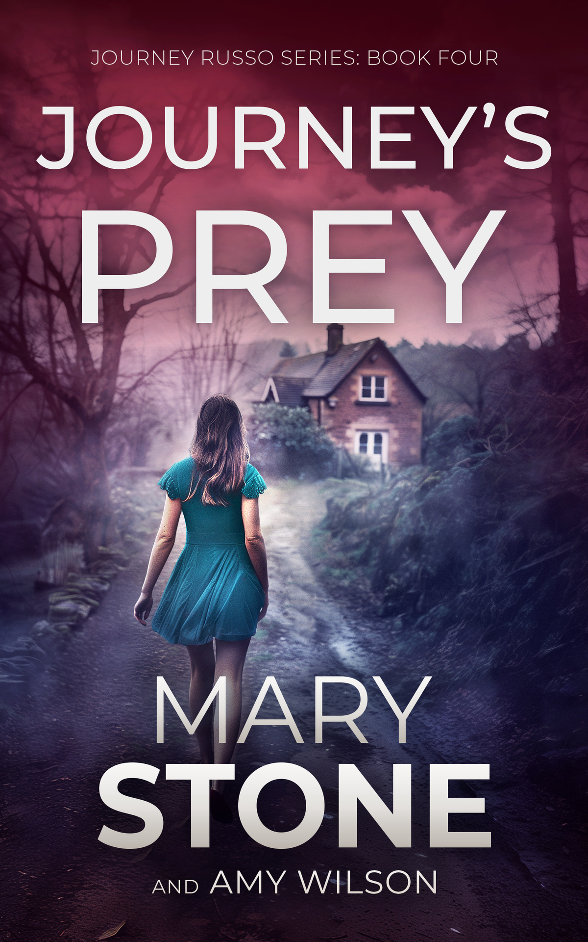 Journeys Prey Mary Stone