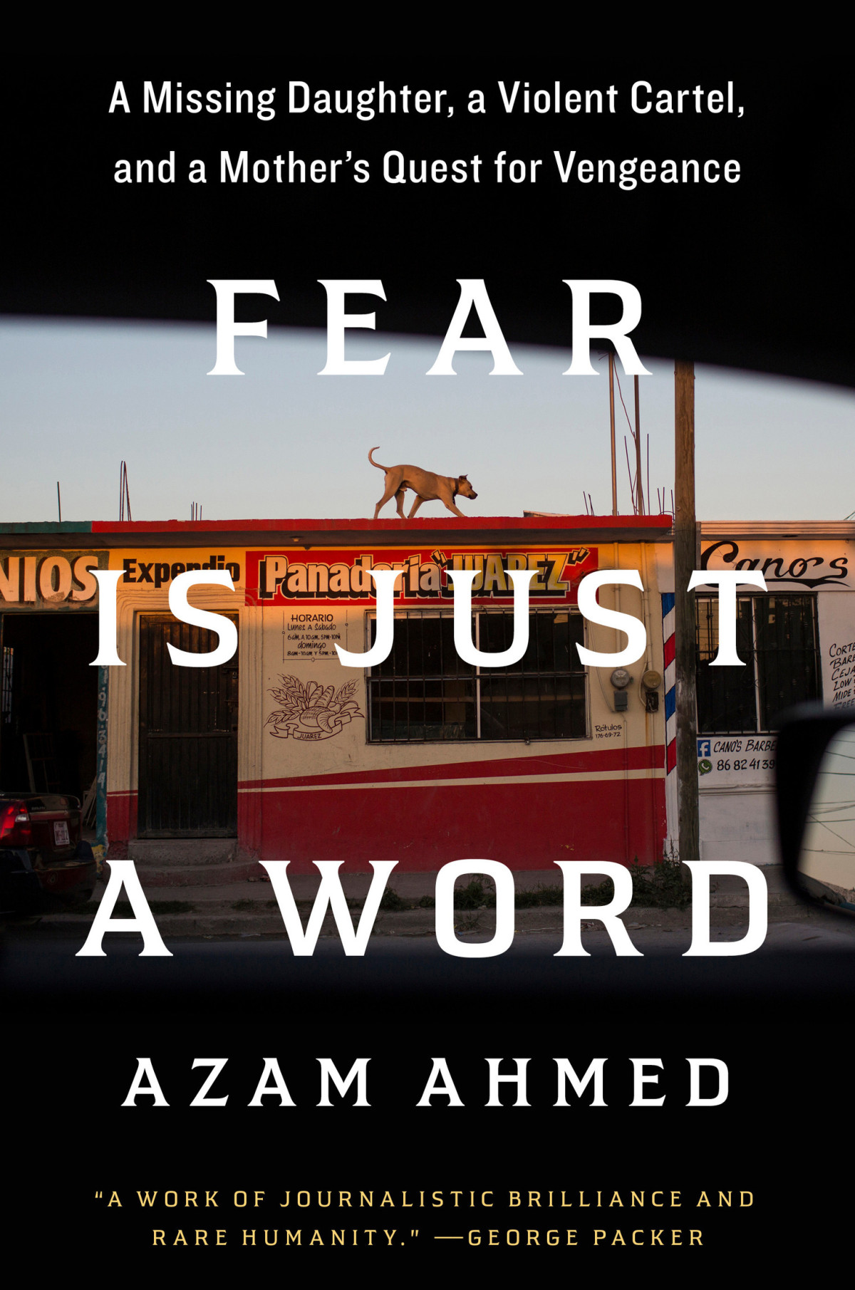 Fear Is Just A Word A Missing Daughter A Violent Cartel And A Mothers Quest For Vengeance Azam Ahmed