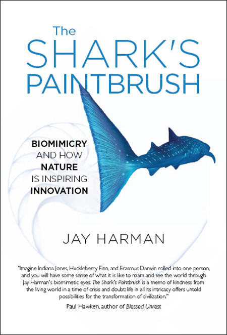 The Sharks Paintbrush Biomimicry And How Nature Is Inspiring Innovation Jay Harman