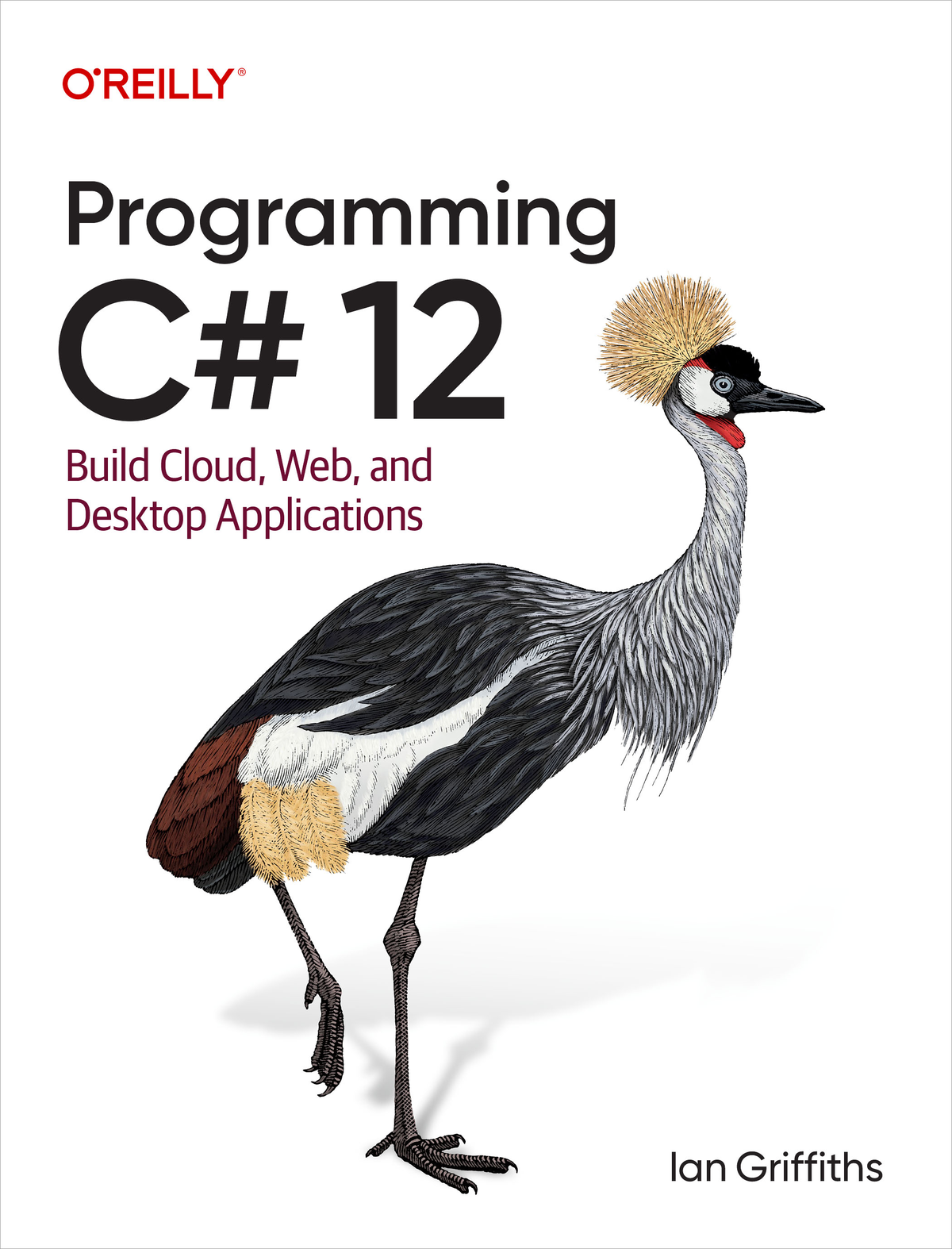Programming C 12 Build Cloud Web And Desktop Applications Ian Griffiths