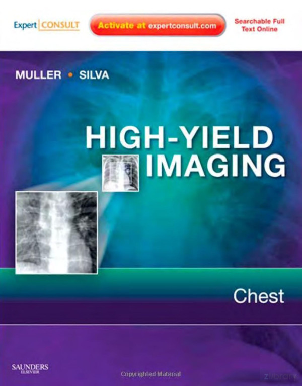 Highyield Imaging 1st Edition Nestor Luiz Mller