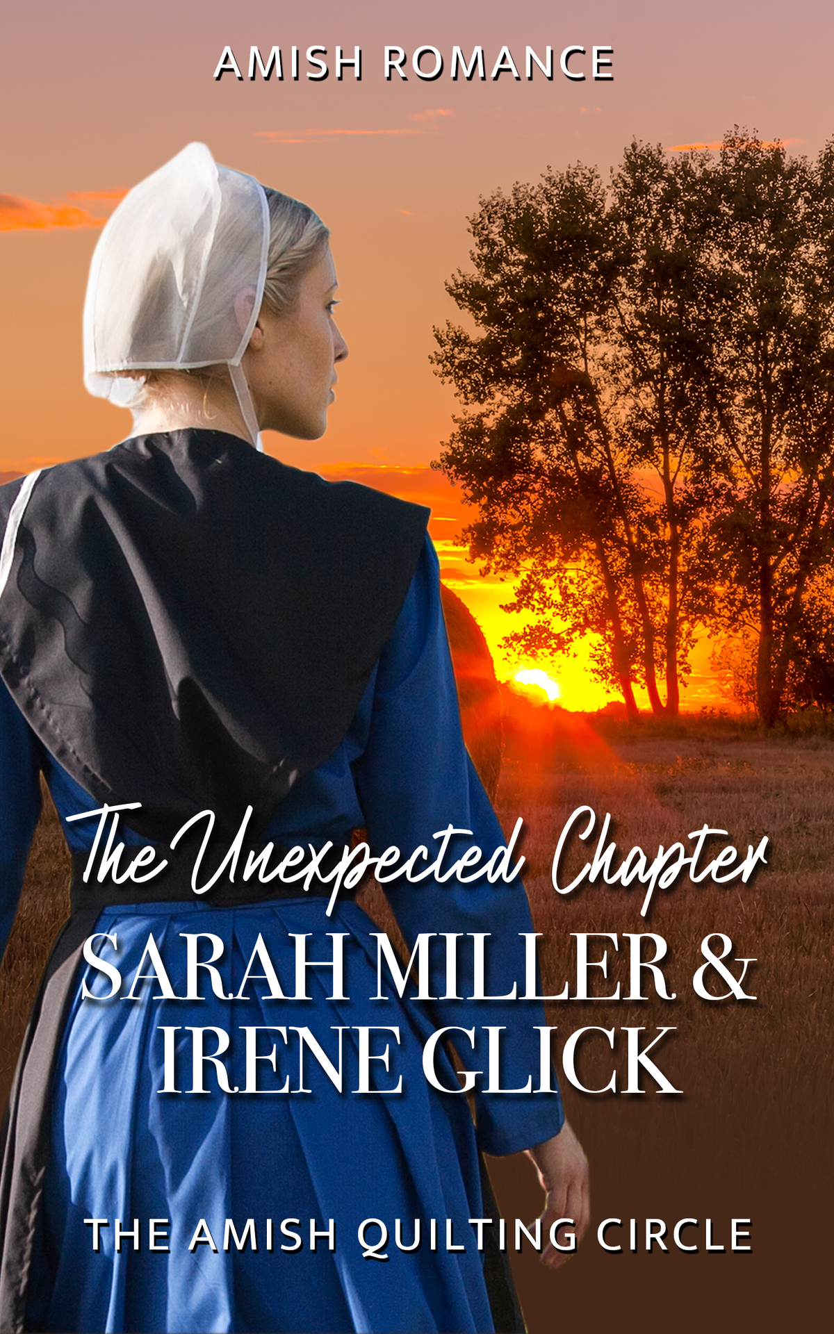 The Unexpected Chapter Glick Irene Miller Sarah
