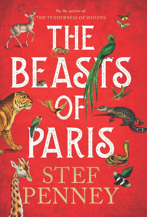 The Beasts Of Paris A Novel Stef Penney