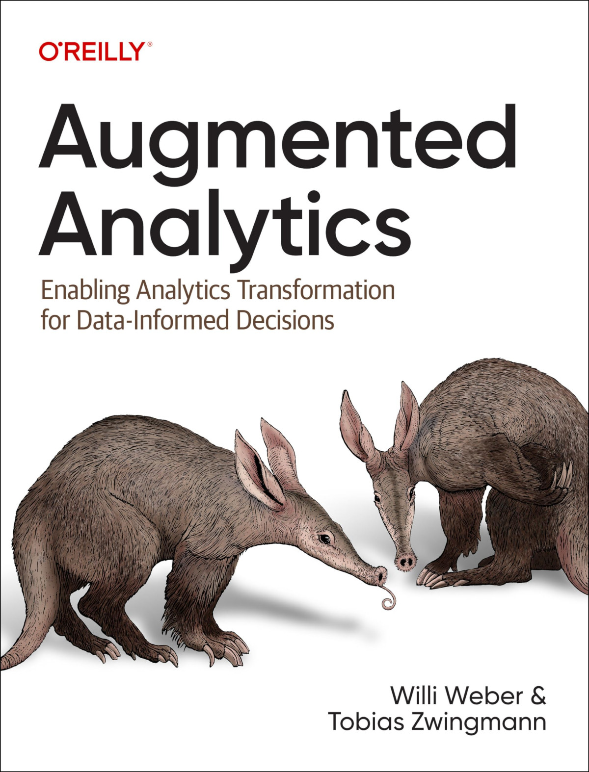 Augmented Analytics Enabling Analytics Transformation For Datainformed Decisions 1st Edition Tobias Zwingmann