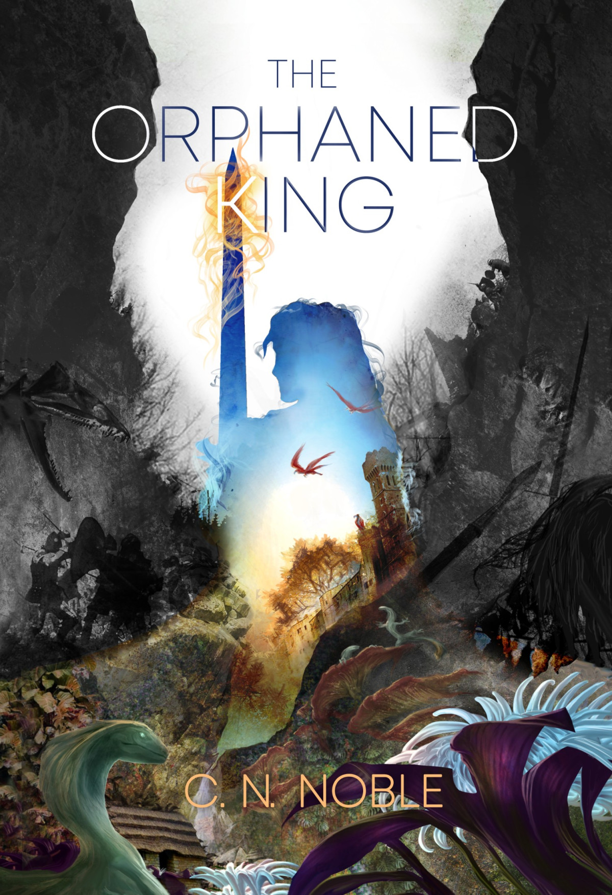 The Orphaned King C N Noble