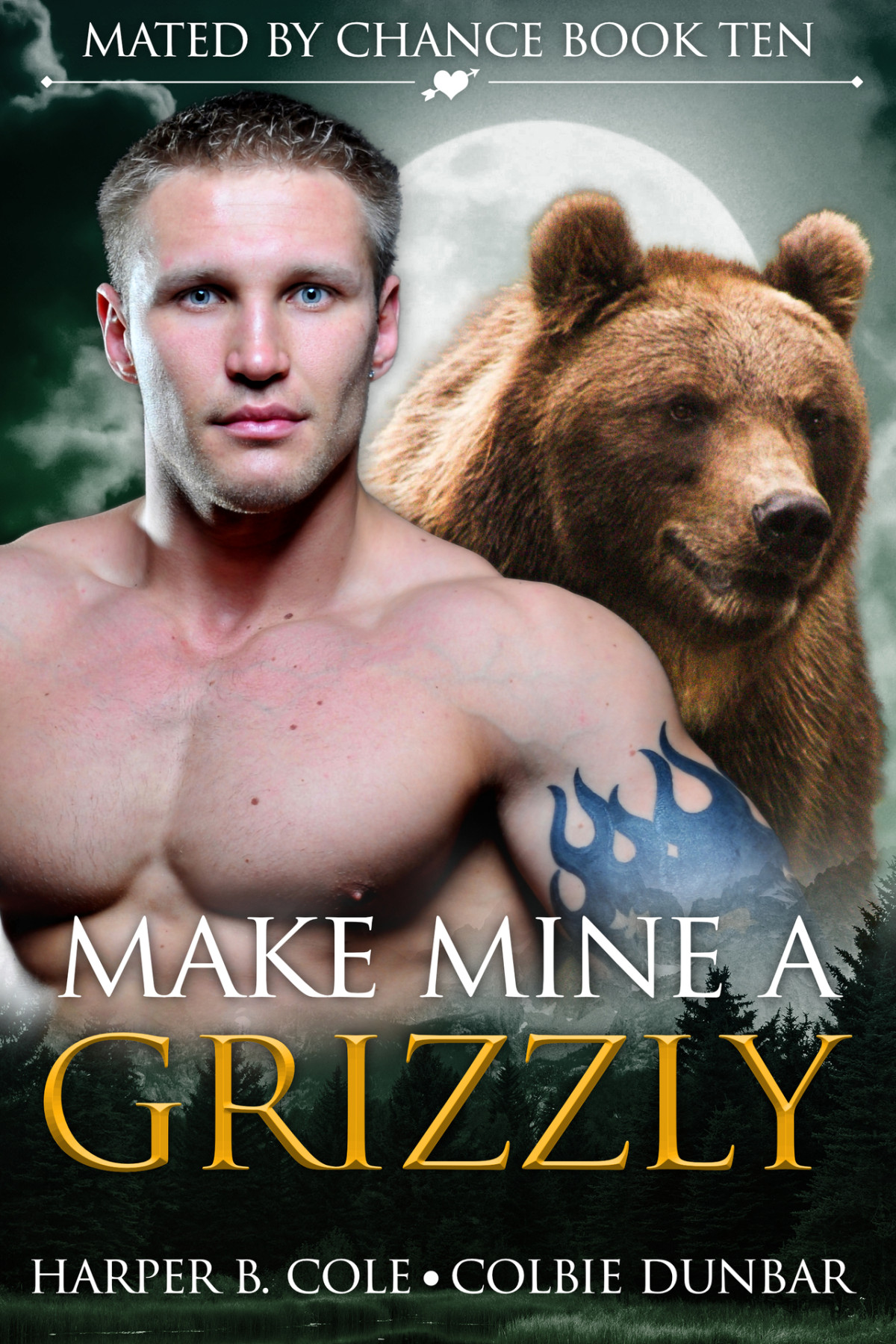 Make Mine A Grizzly Mm Mpreg Shifter Romance Mated By Chance Book 10 Harper B Cole