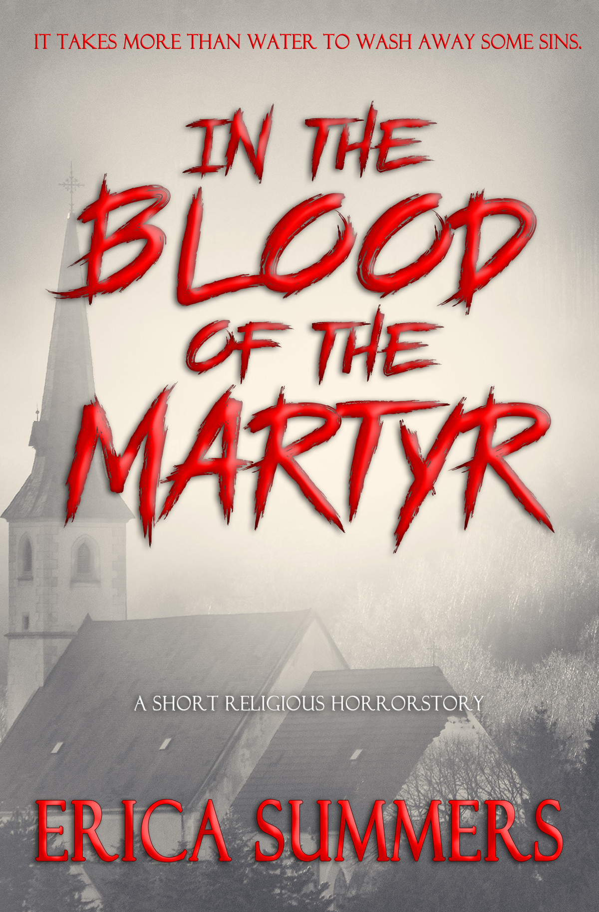 In The Blood Of The Martyr Erica Summers