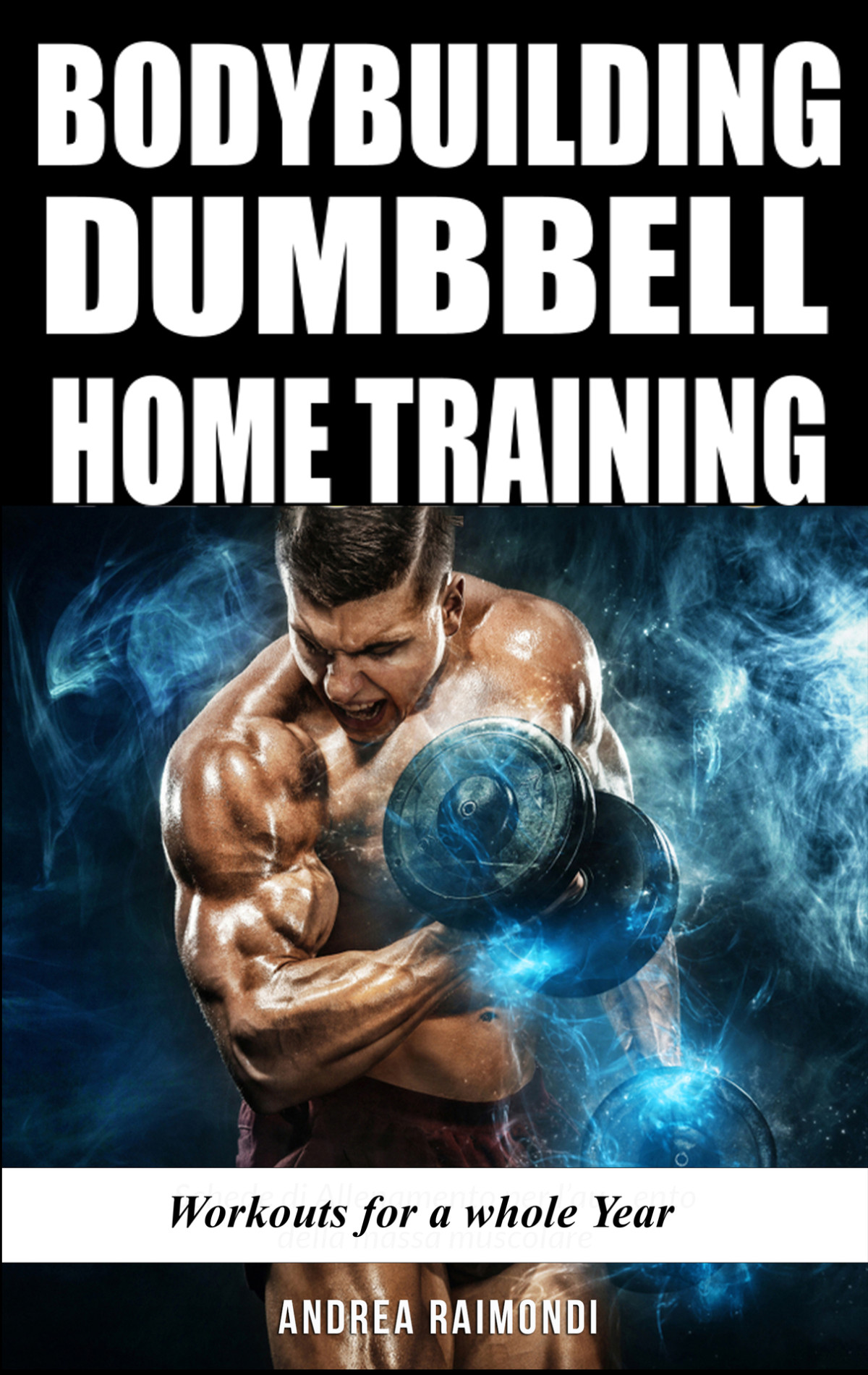 Bodybuilding Dumbbell Home Training Workouts For A Whole Year Building Muscle And Increase Strength Raimondi