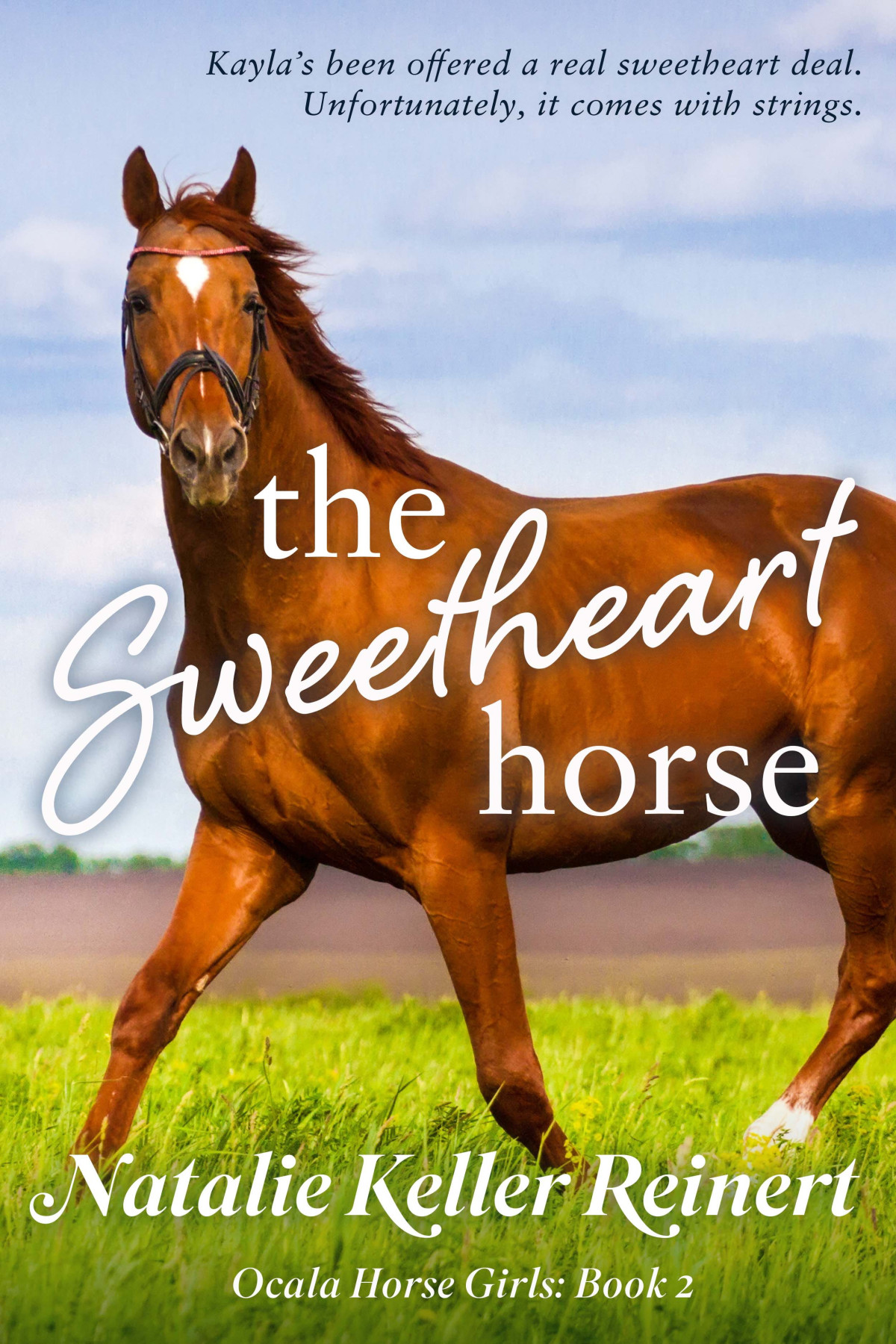 The Sweetheart Horse Ocala Horse Girls Book 2 Natalie Keller Reinert