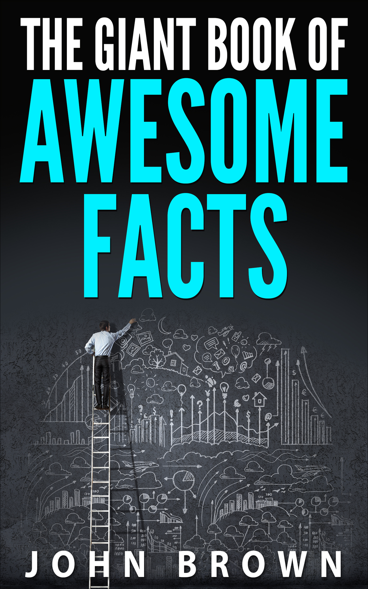 The Giant Book Of Awesome Facts John Brown