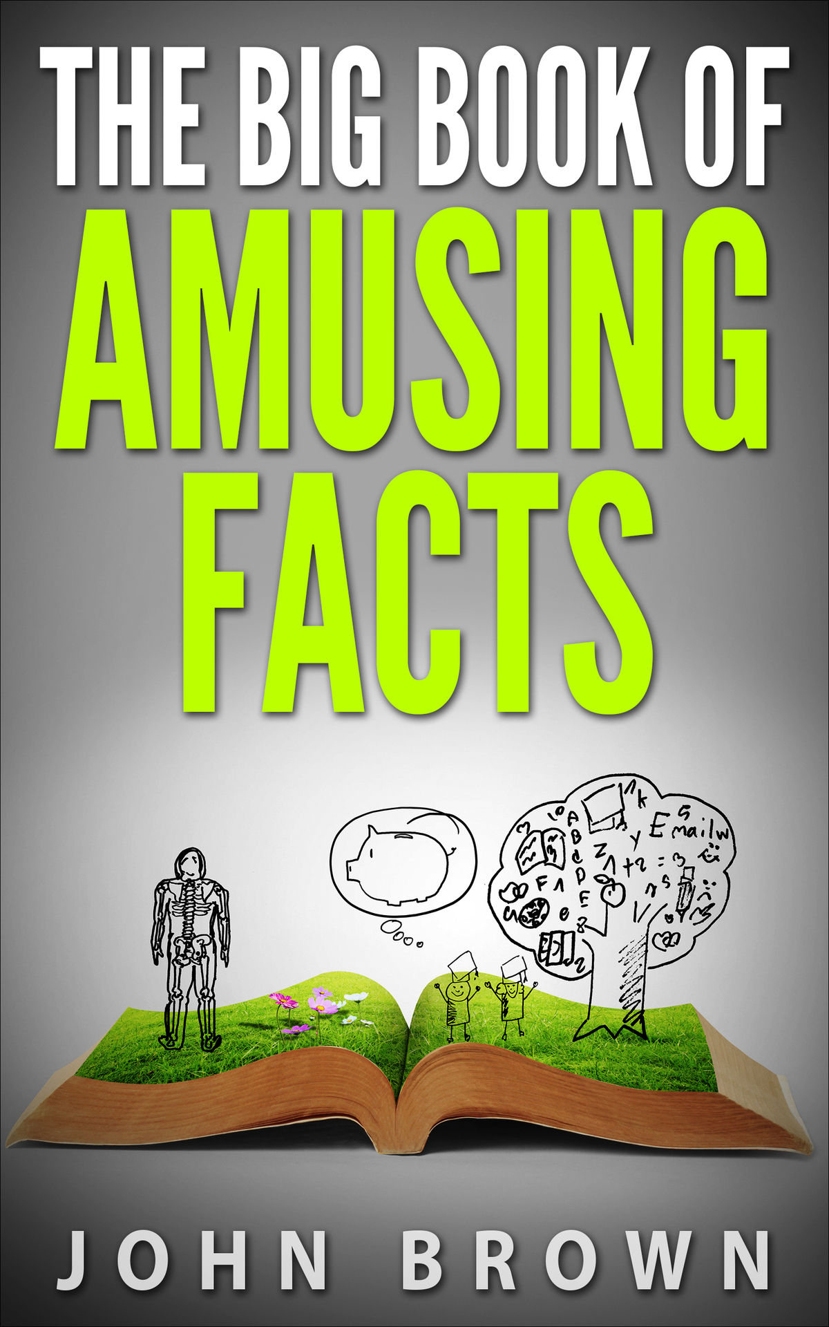 The Big Book Of Amusing Facts John Brown