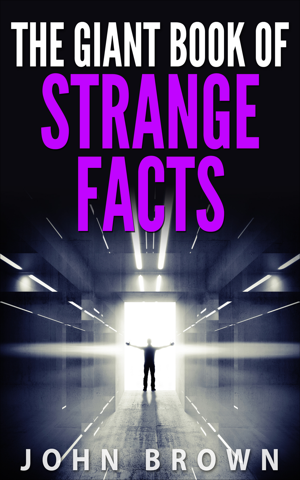 The Giant Book Of Strange Facts John Brown