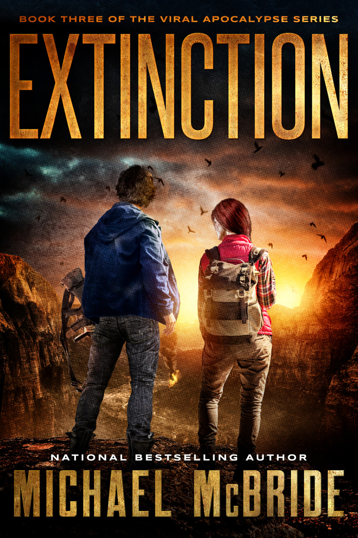 Extinction Book Three Of The Viral Apocalypse Series Michael Mcbride