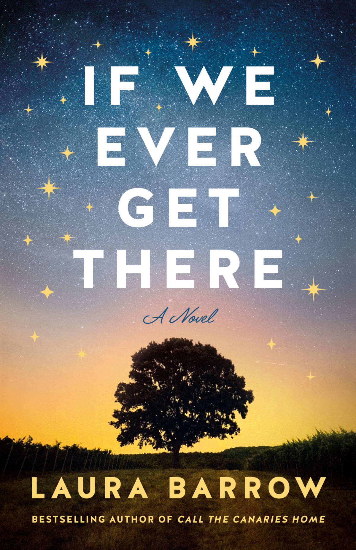 If We Ever Get There A Novel Laura Barrow