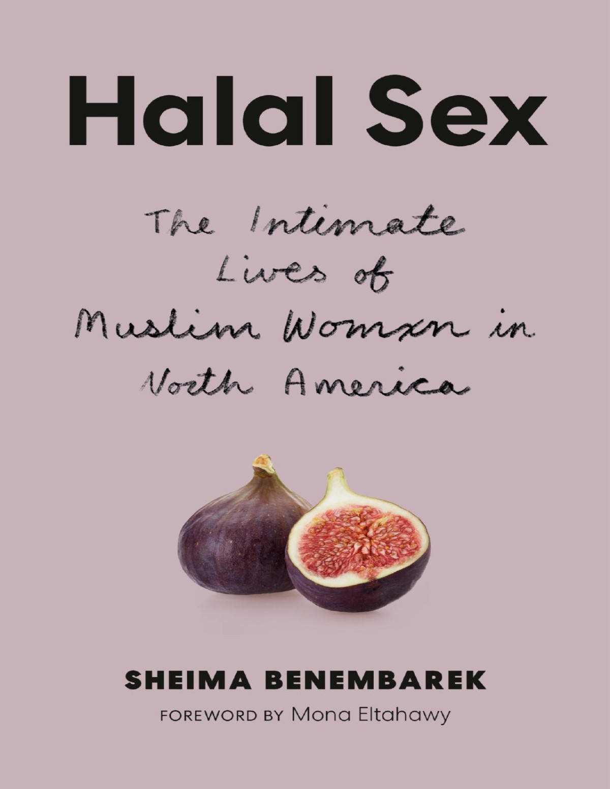 Halal Sex The Intimate Lives Of Muslim Women In North America Sheima Benembarek