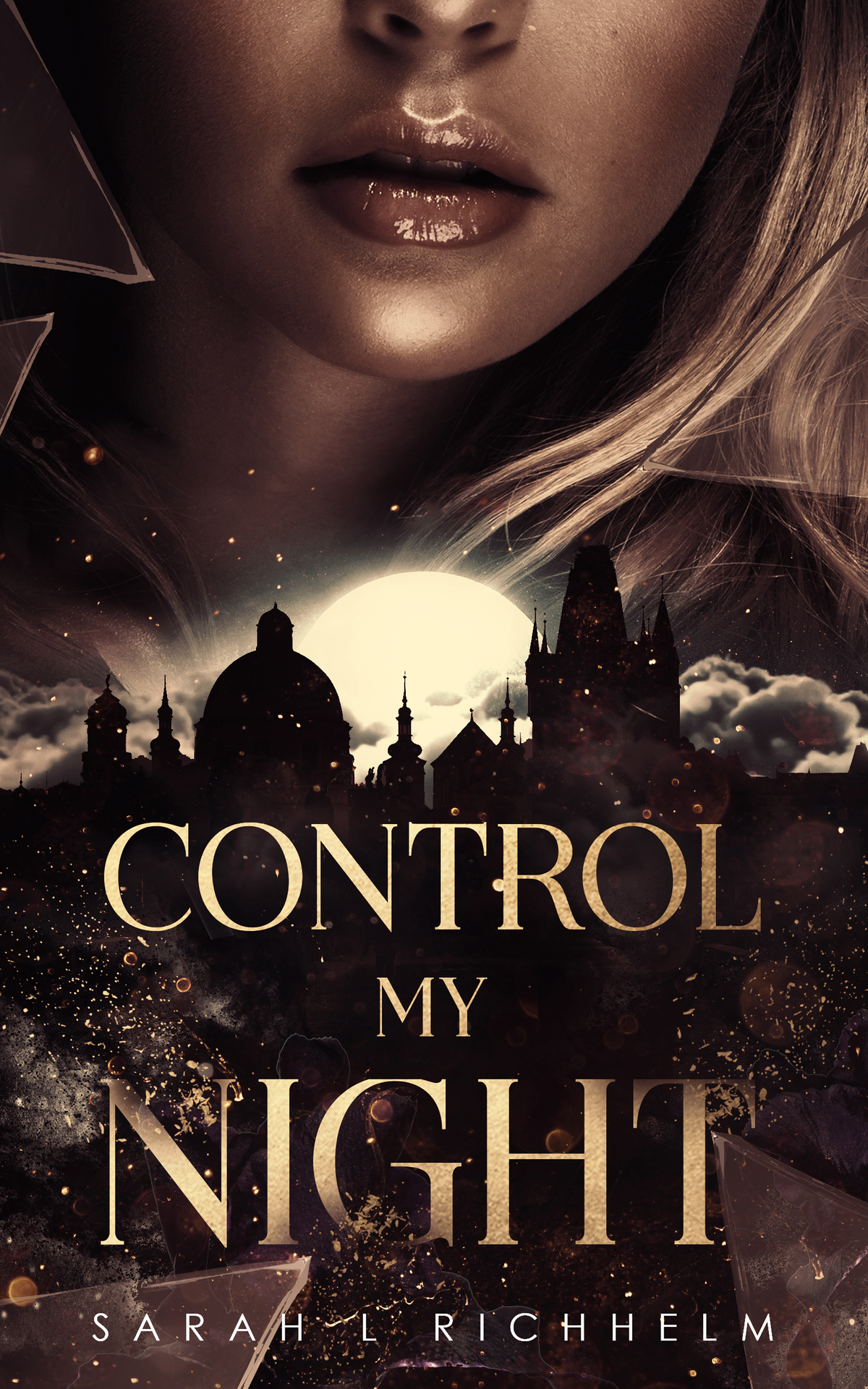 Control My Night Sarah L Richhelm