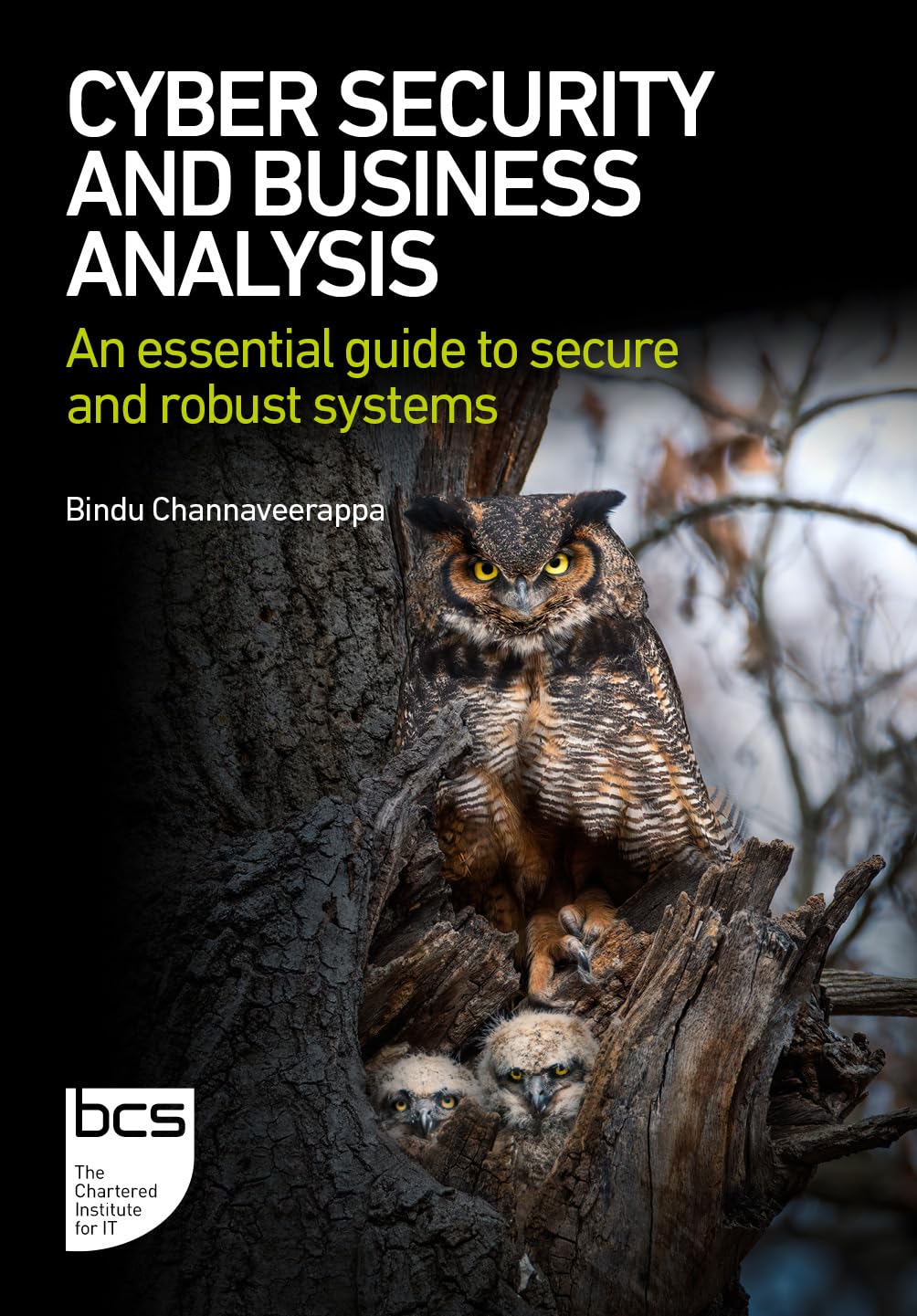 Cyber Security And Business Analysis An Essential Guide To Secure And Robust Systems 1st Edition Bindu Channaveerappa