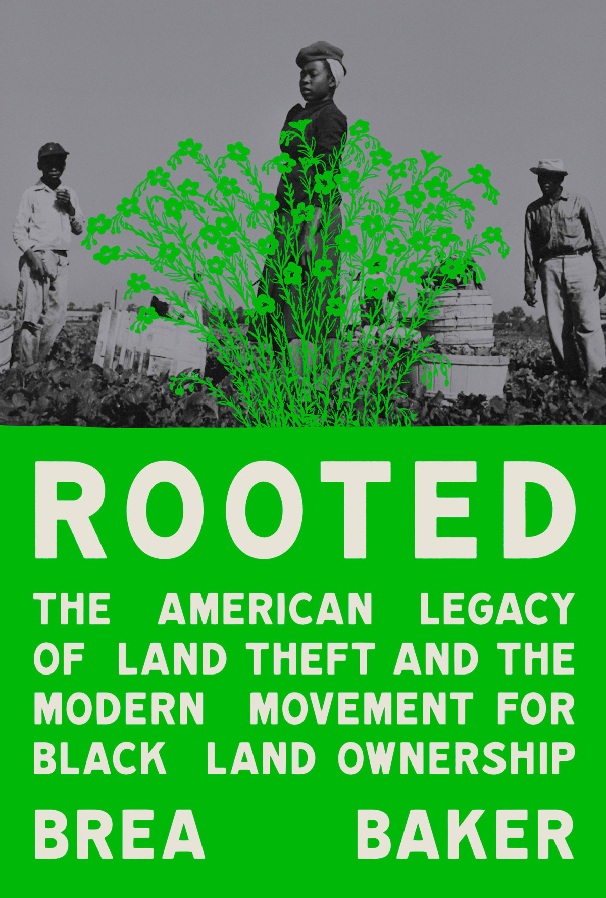 Rooted The American Legacy Of Land Theft And The Modern Movement For Black Land Ownership Brea Baker