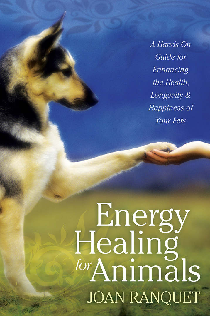 Energy Healing For Animals A Handson Guide For Enhancing The Health Longevity And Happiness Of Your Pets Joan Ranquet